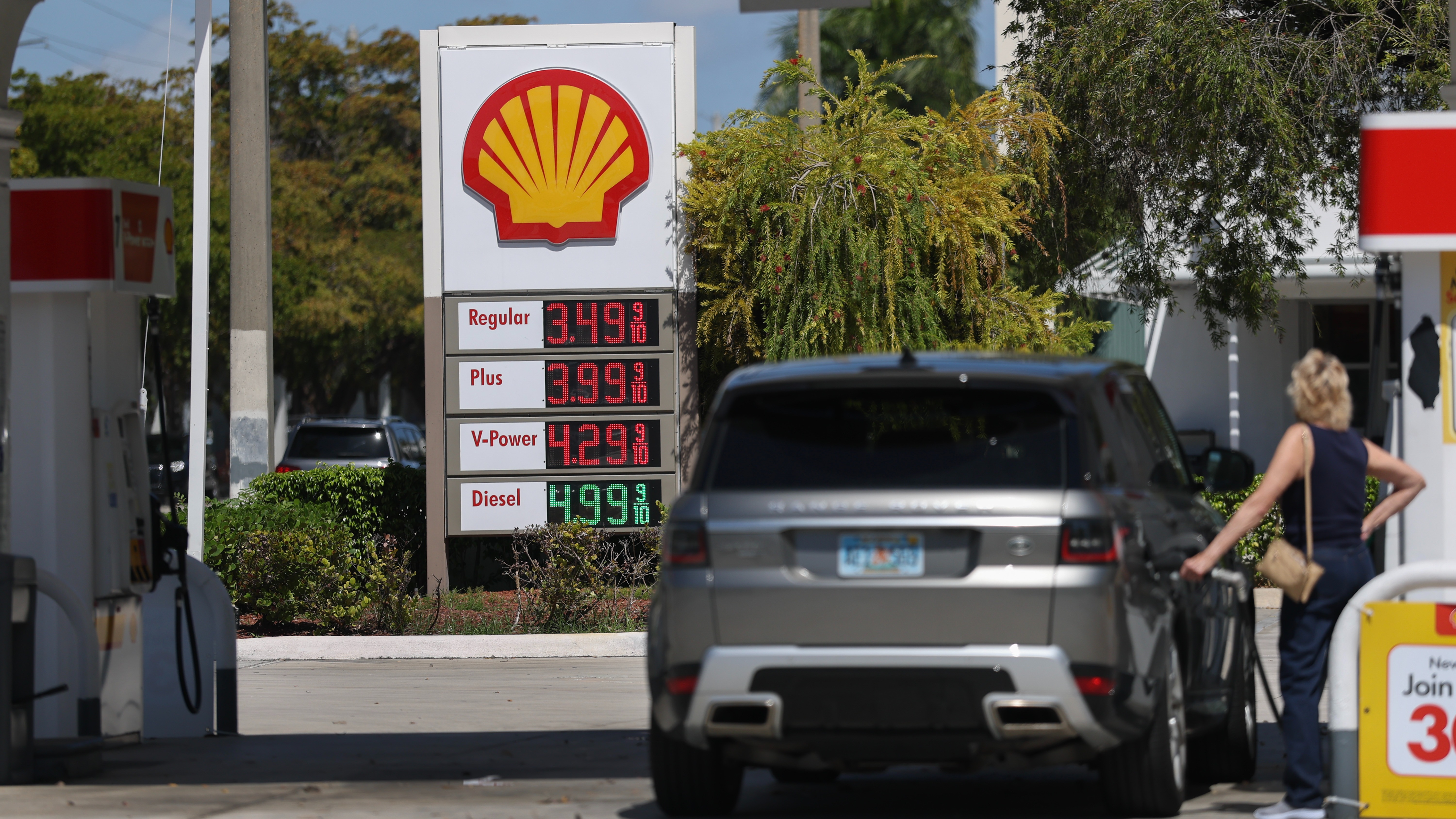 d1e00ek4ebabms.cloudfront.net image