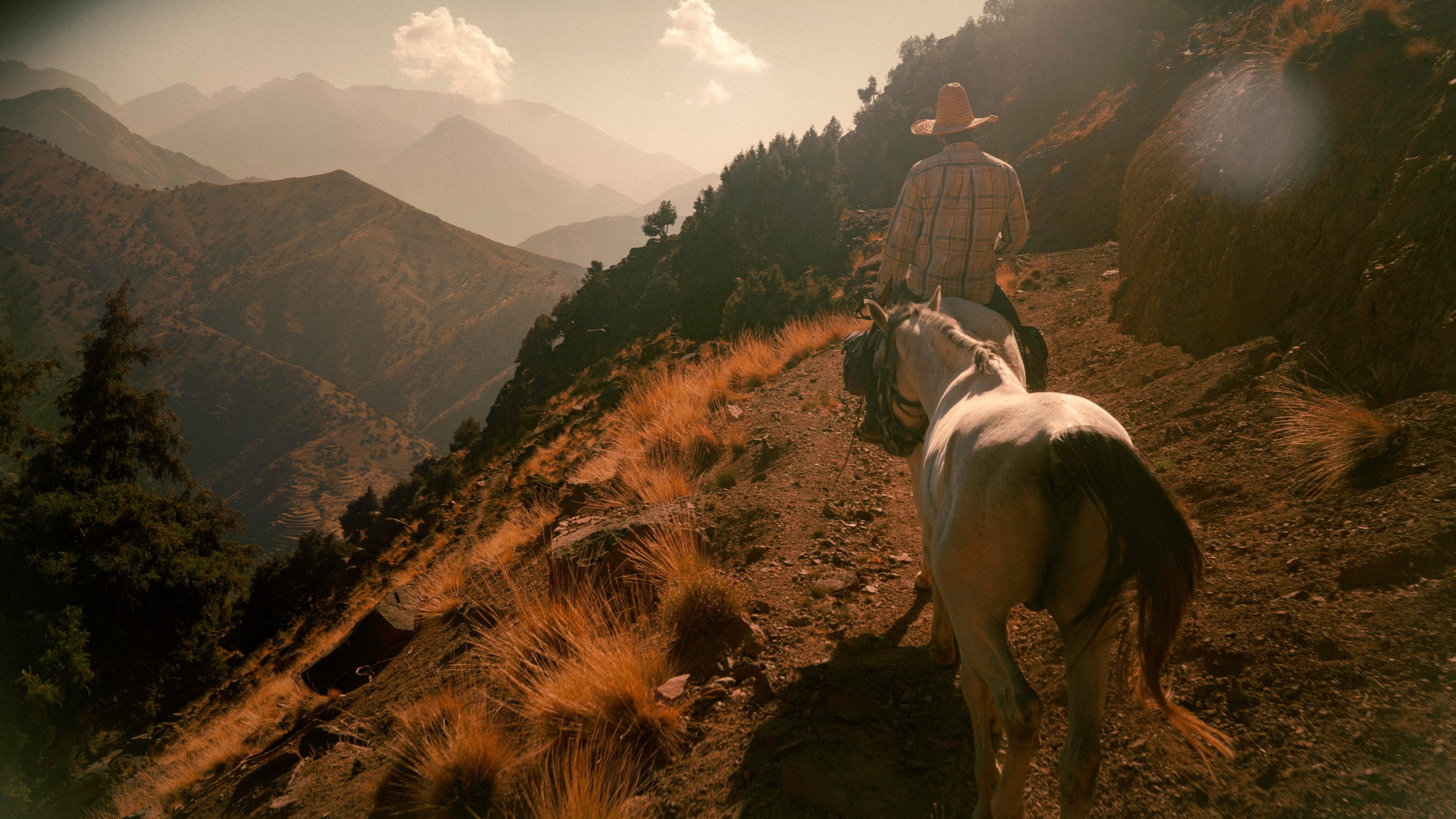 d1e00ek4ebabms.cloudfront.net image