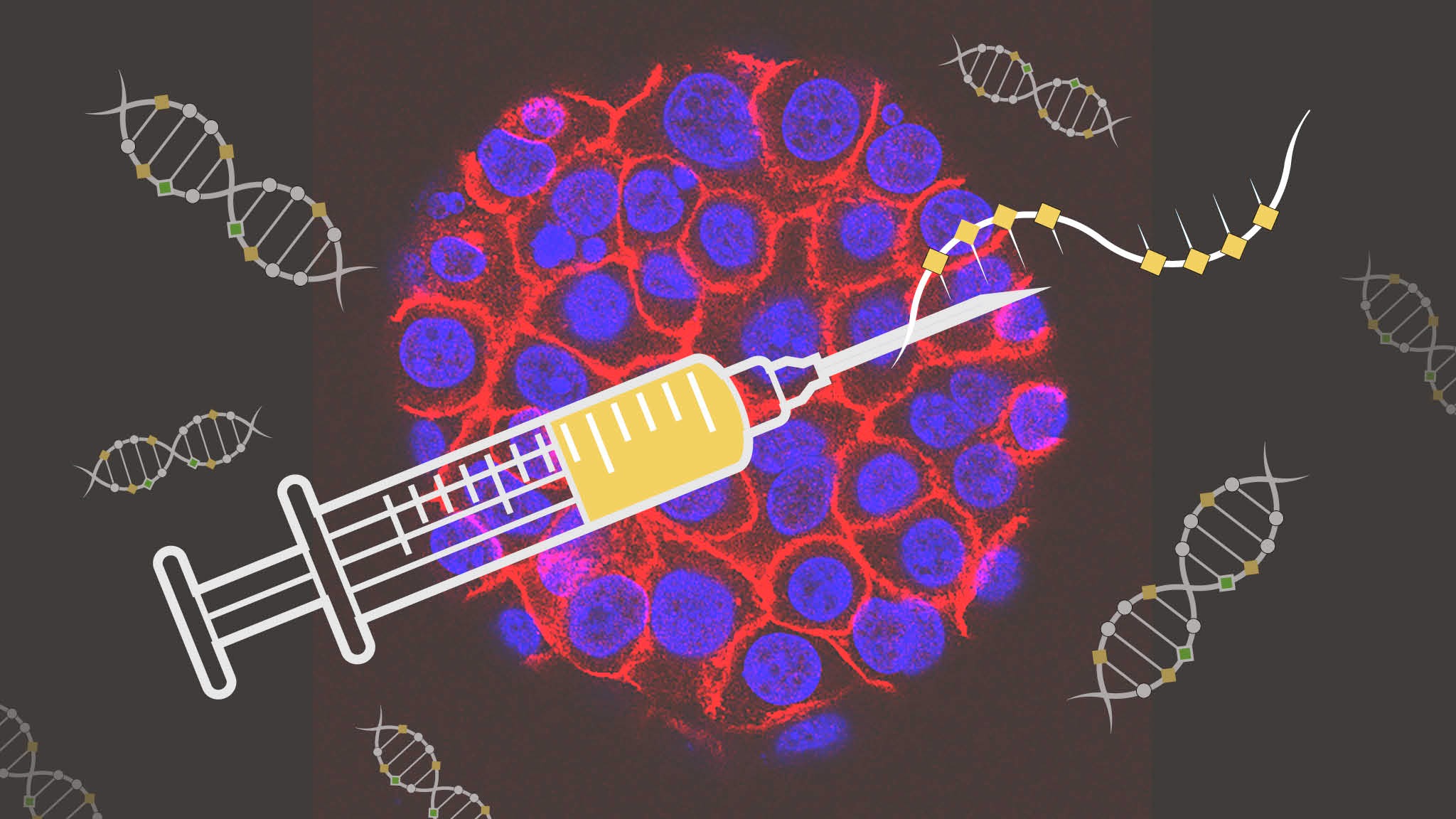 Covid success of mRNA vaccines opens way to a new generation of drugs | Financial Times