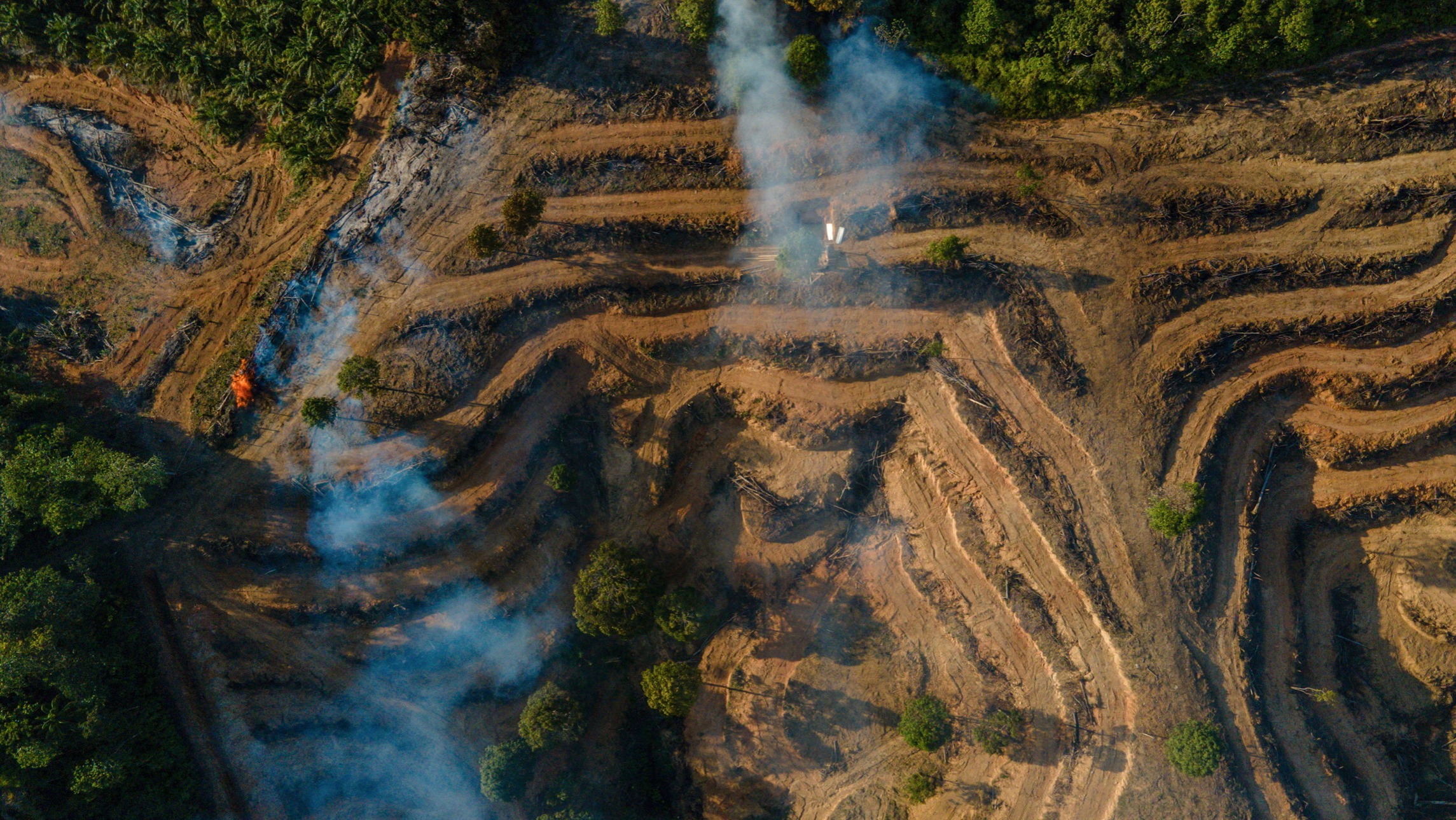 d1e00ek4ebabms.cloudfront.net image