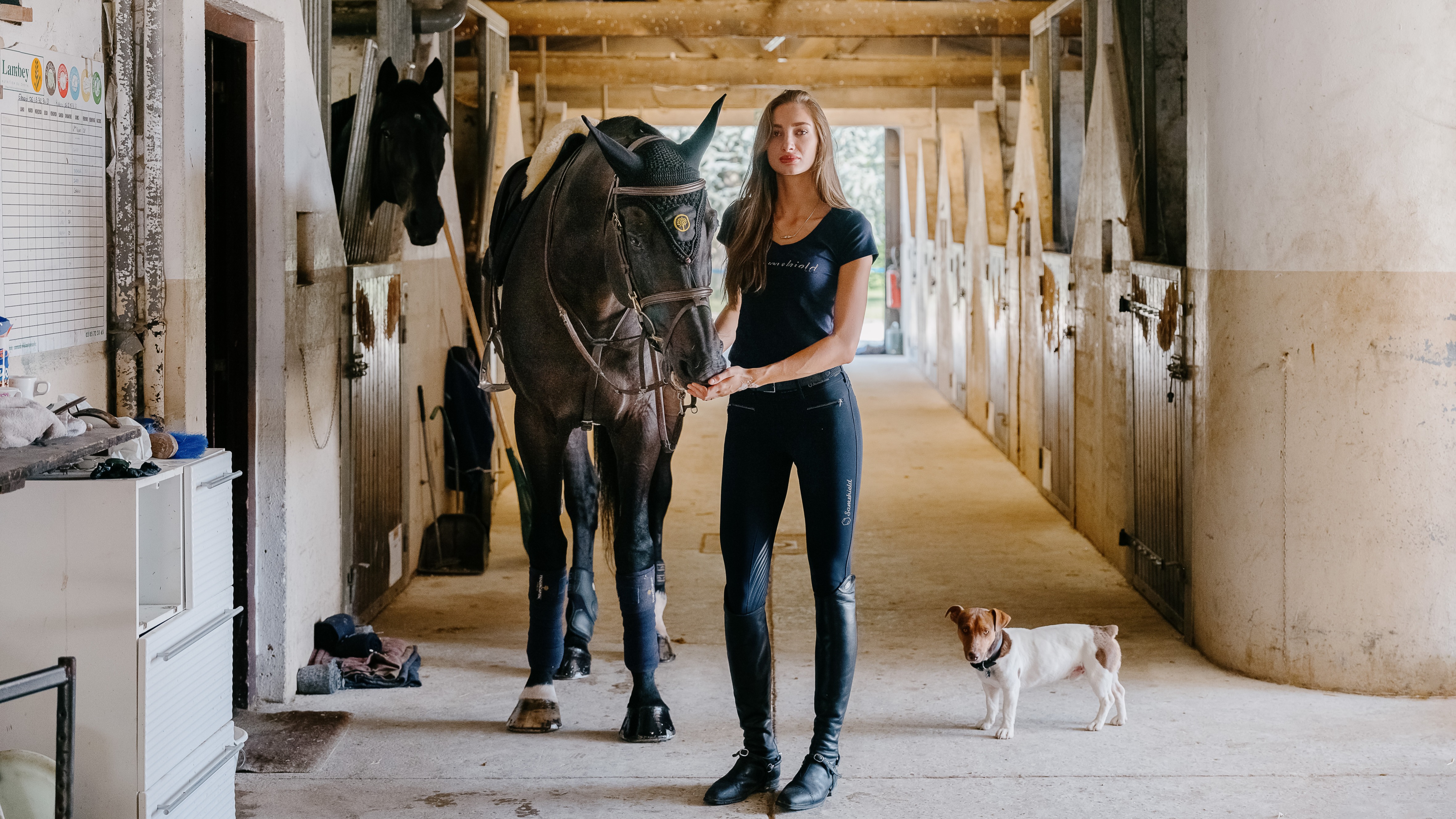 Black Leather Neck Straps for Horse Riding Full Size BN 