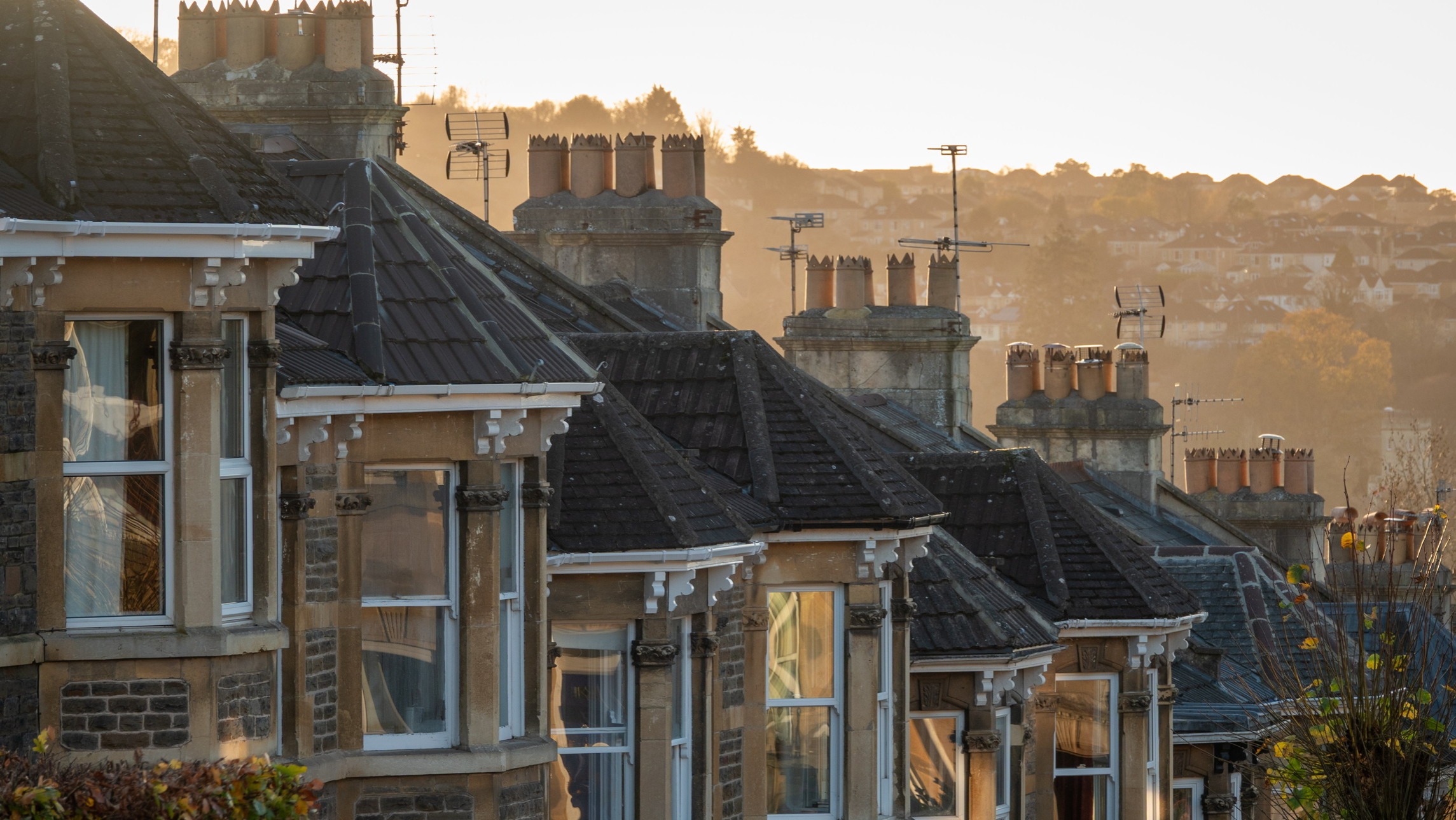 d1e00ek4ebabms.cloudfront.net image