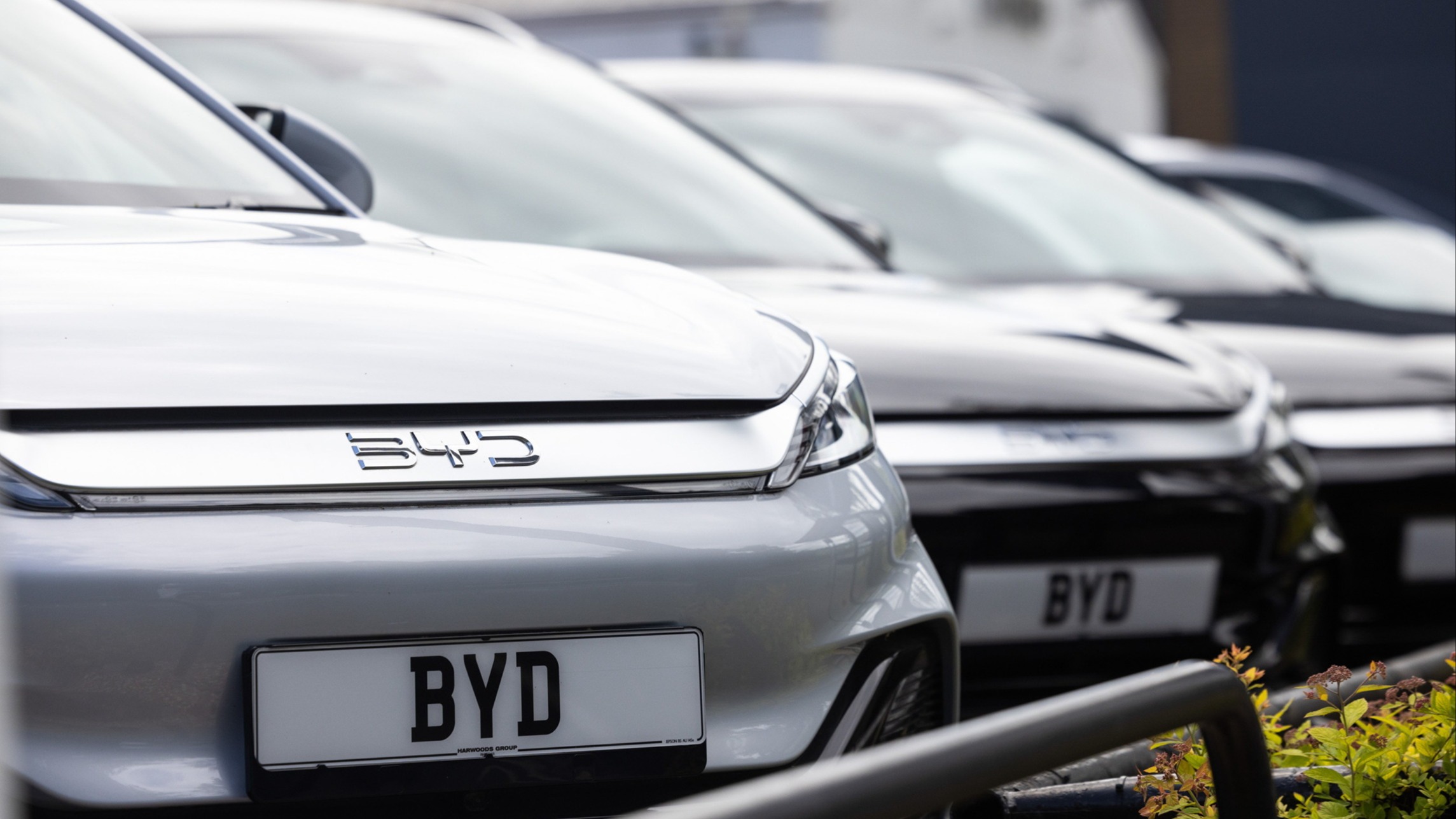 d1e00ek4ebabms.cloudfront.net image