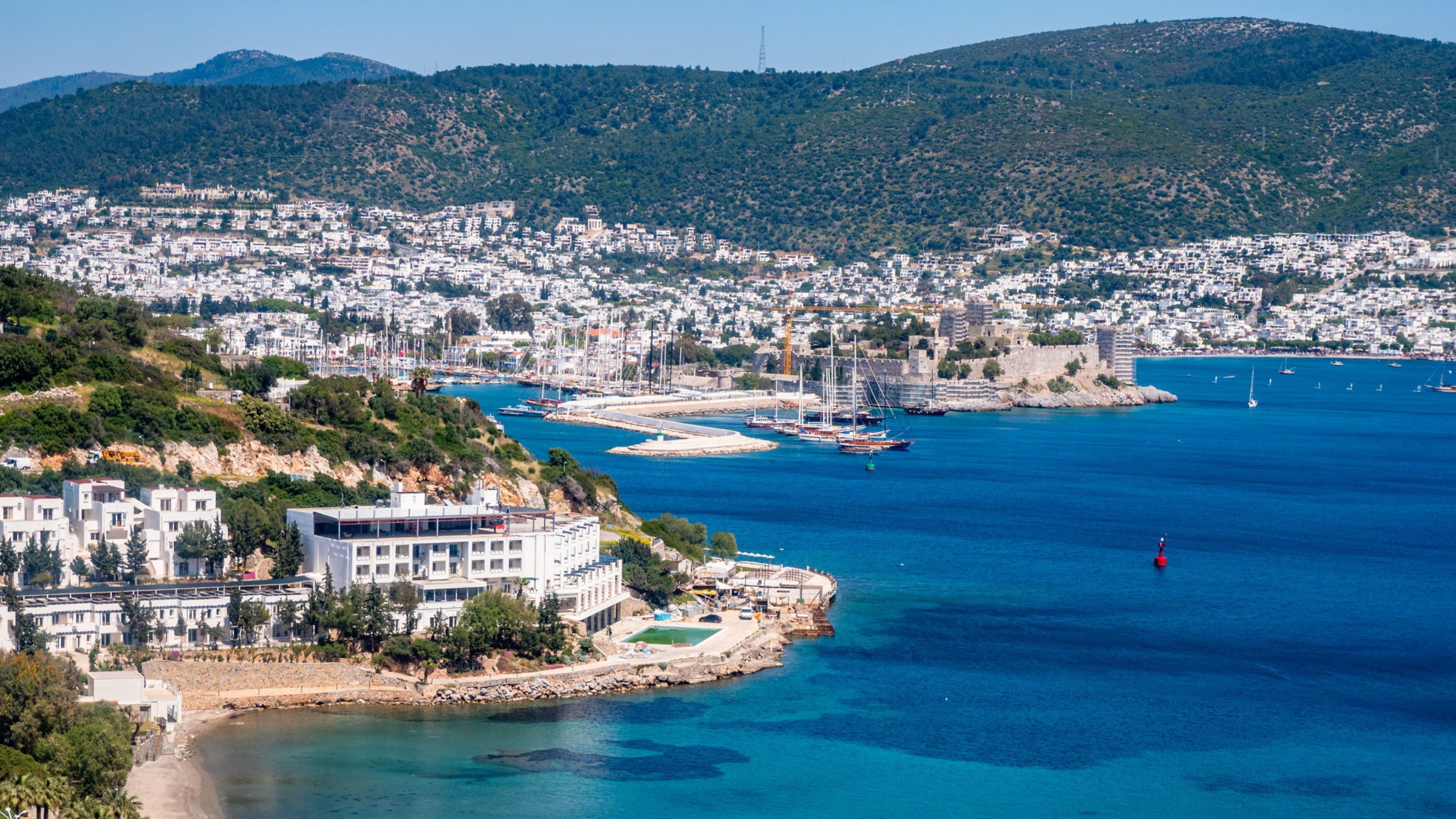 d1e00ek4ebabms.cloudfront.net image