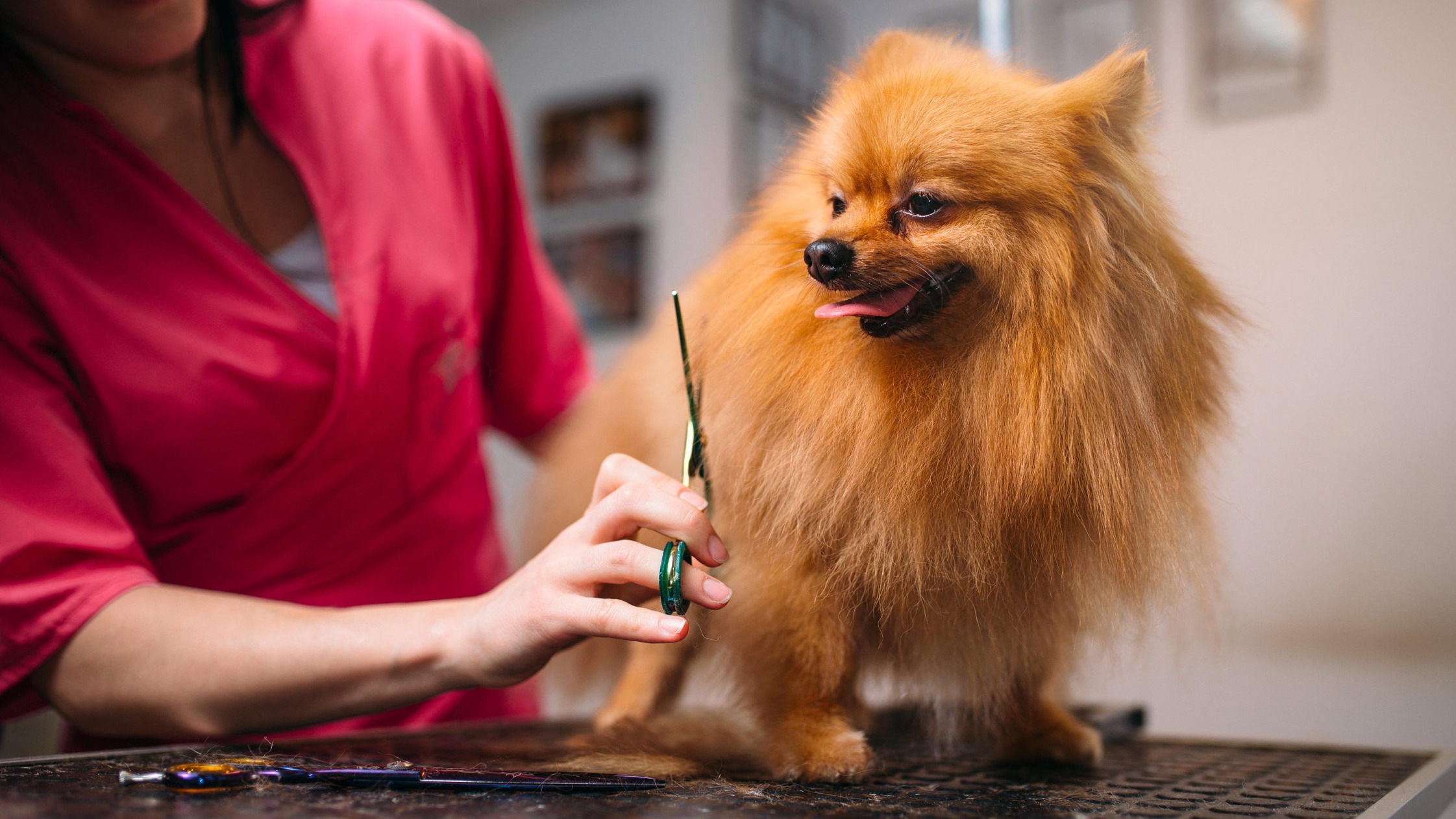 ft.com - Valentina Romei - Non-alcoholic beer and pet grooming added to UK inflation basket