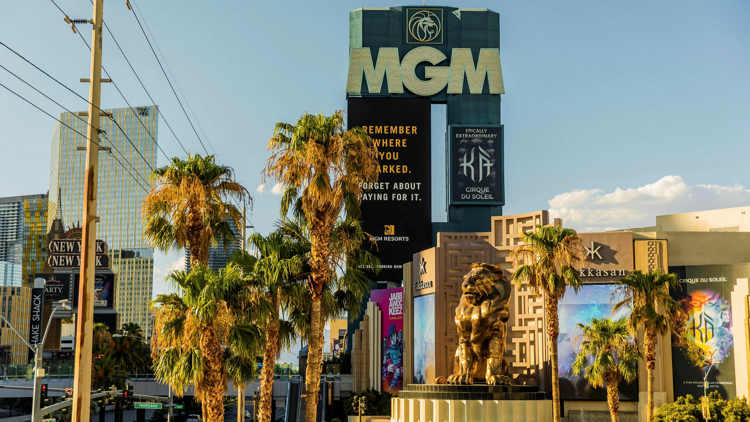 Mgm bet