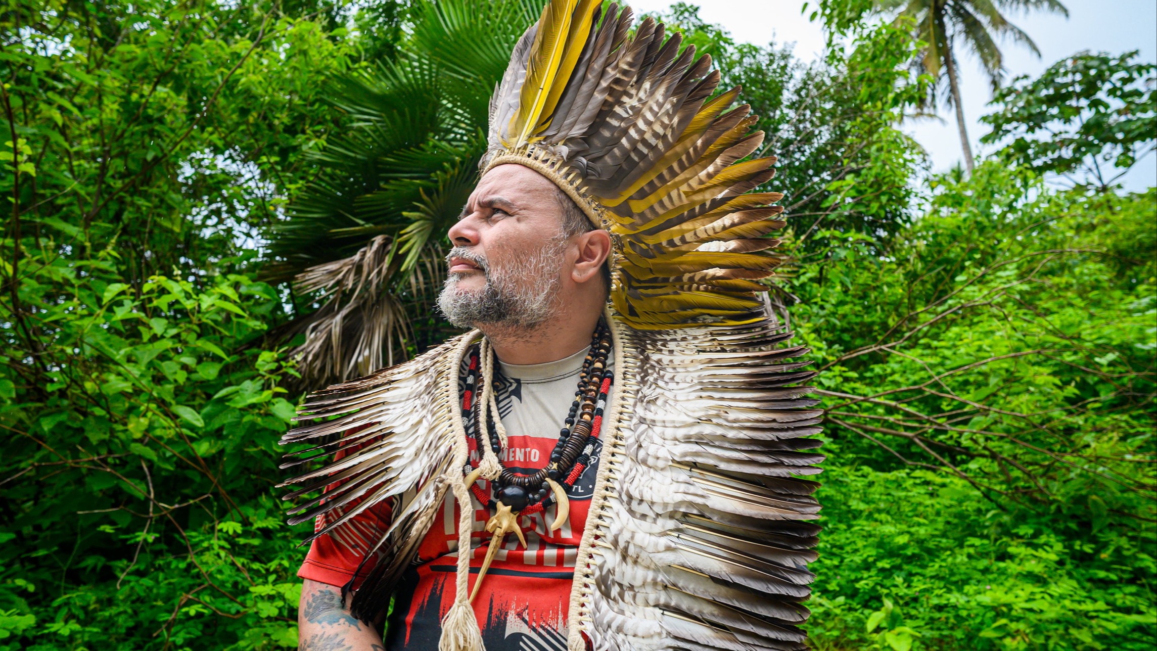 d1e00ek4ebabms.cloudfront.net image