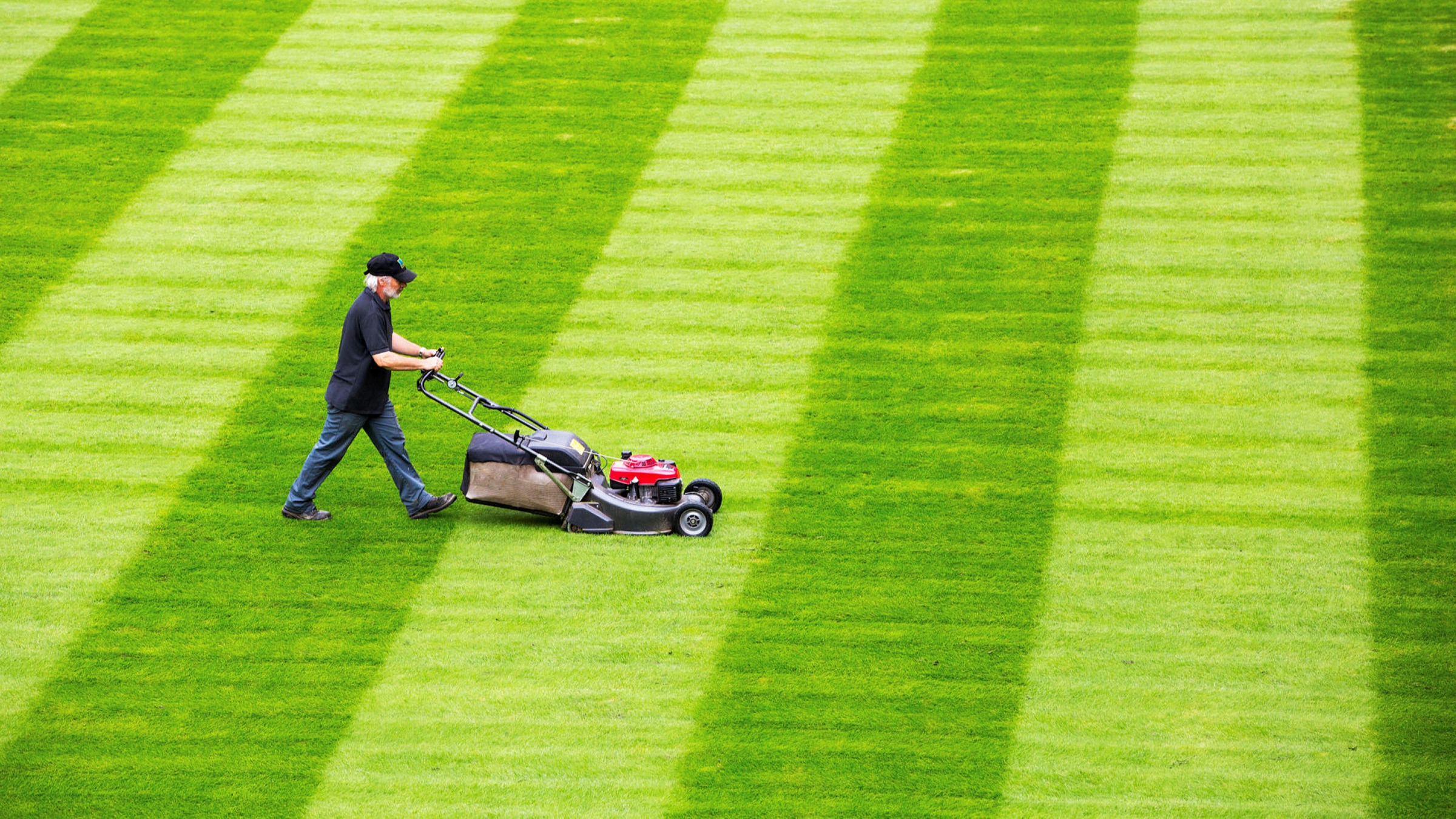 lawn mowing gold coast