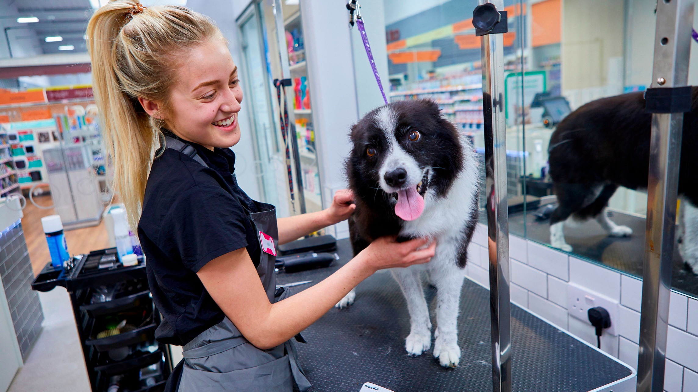 Pets at Home lifts guidance as demand for vet services jumps | Financial  Times