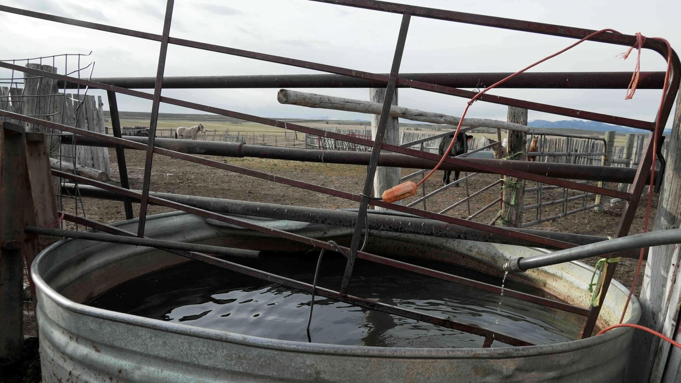 d1e00ek4ebabms.cloudfront.net image