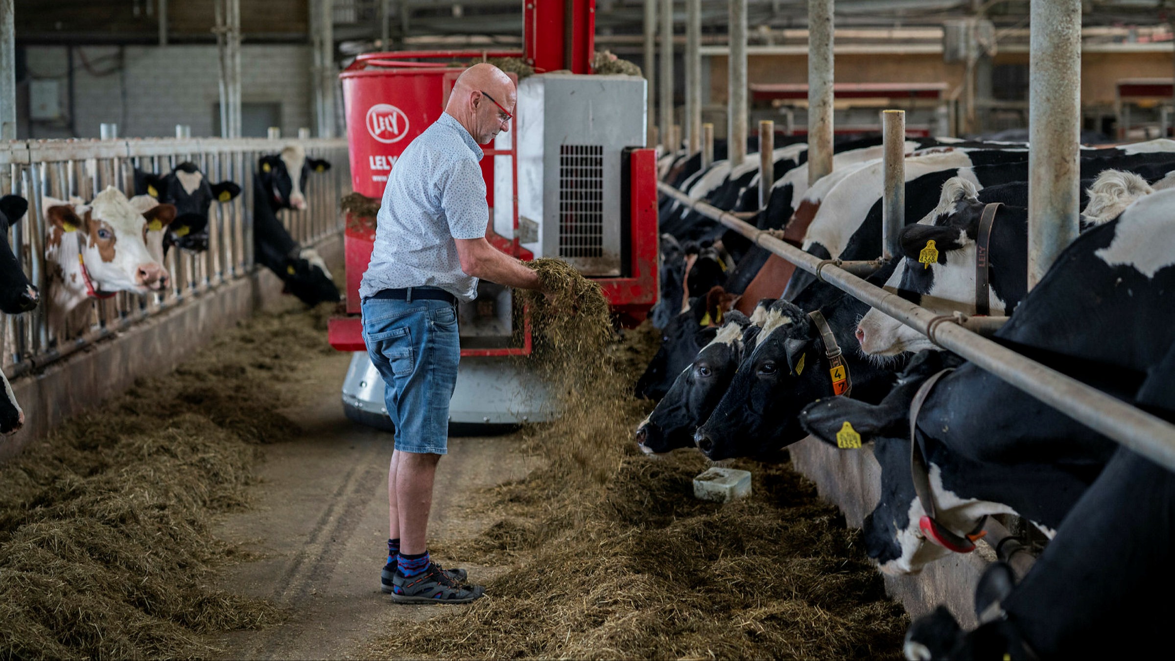 Dutch farmers in uproar over plans to curb animal numbers to cut nitrogen  emissions | Financial Times
