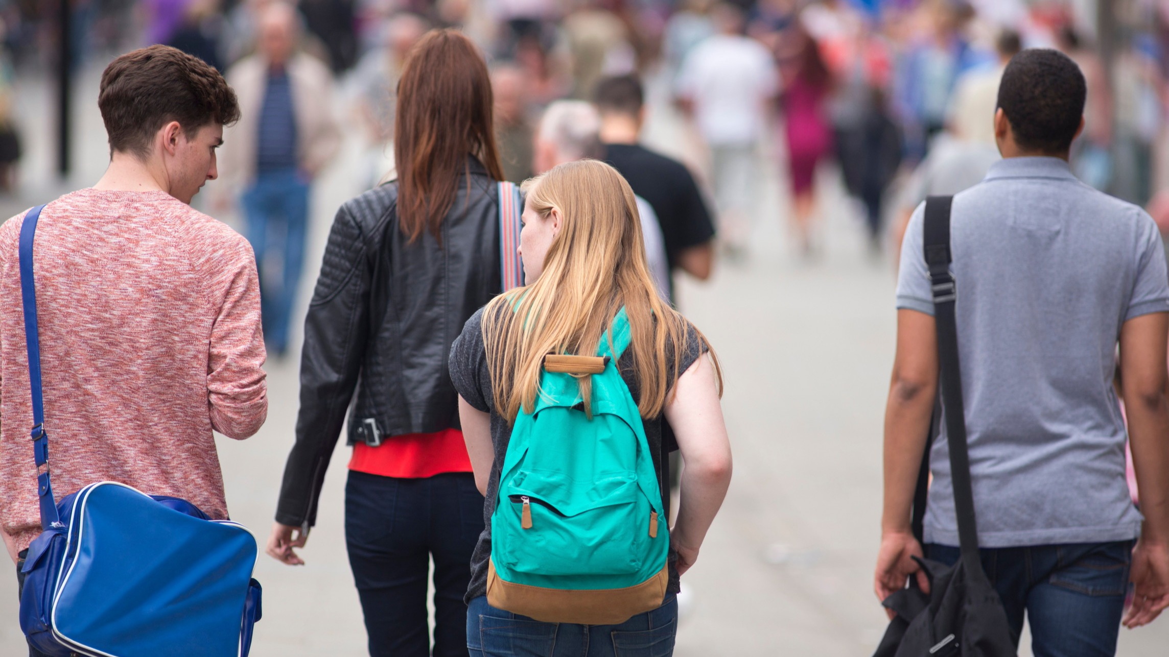 d1e00ek4ebabms.cloudfront.net image