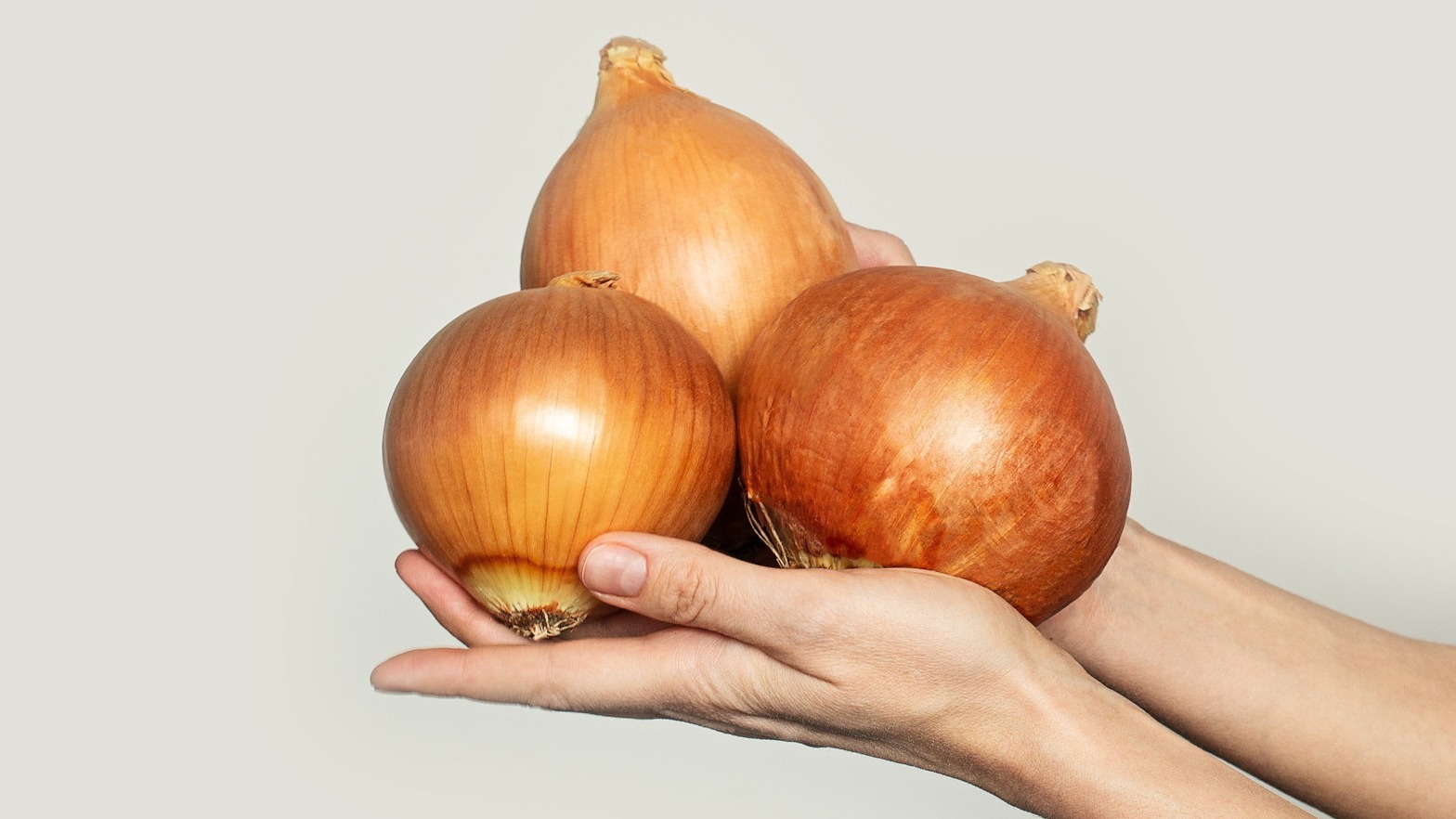 “不流泪洋葱”究竟能给我们带来什么好处？