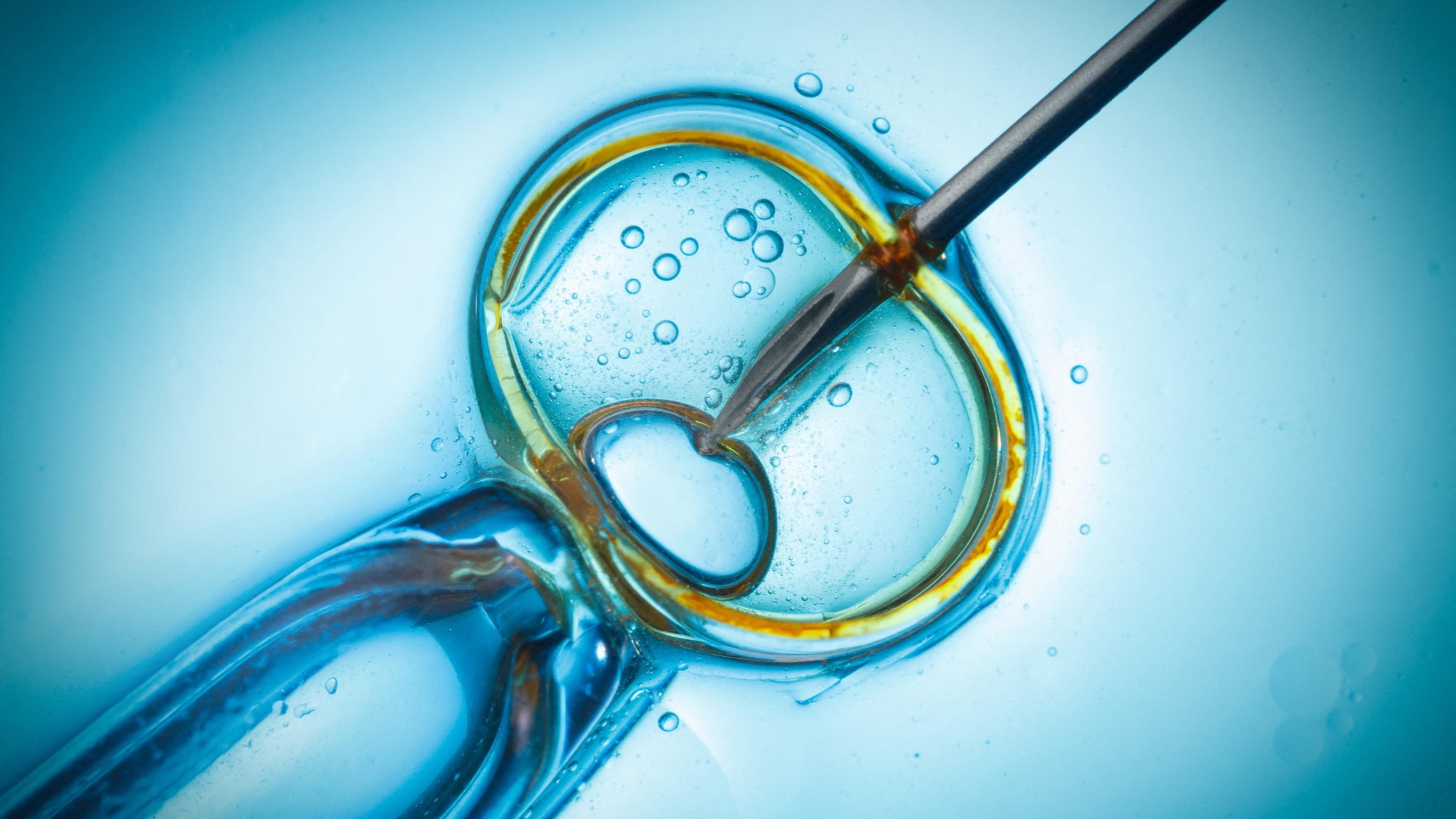 d1e00ek4ebabms.cloudfront.net image