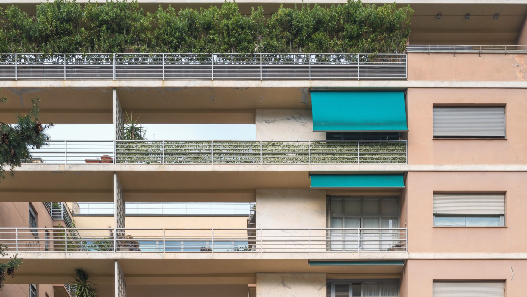 d1e00ek4ebabms.cloudfront.net image