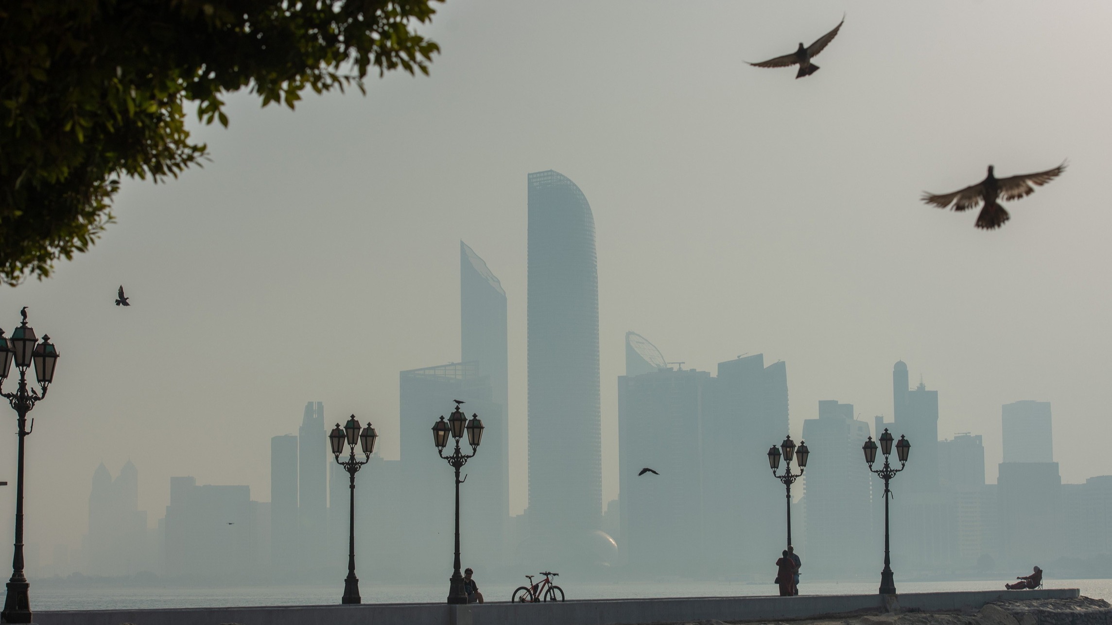 d1e00ek4ebabms.cloudfront.net image