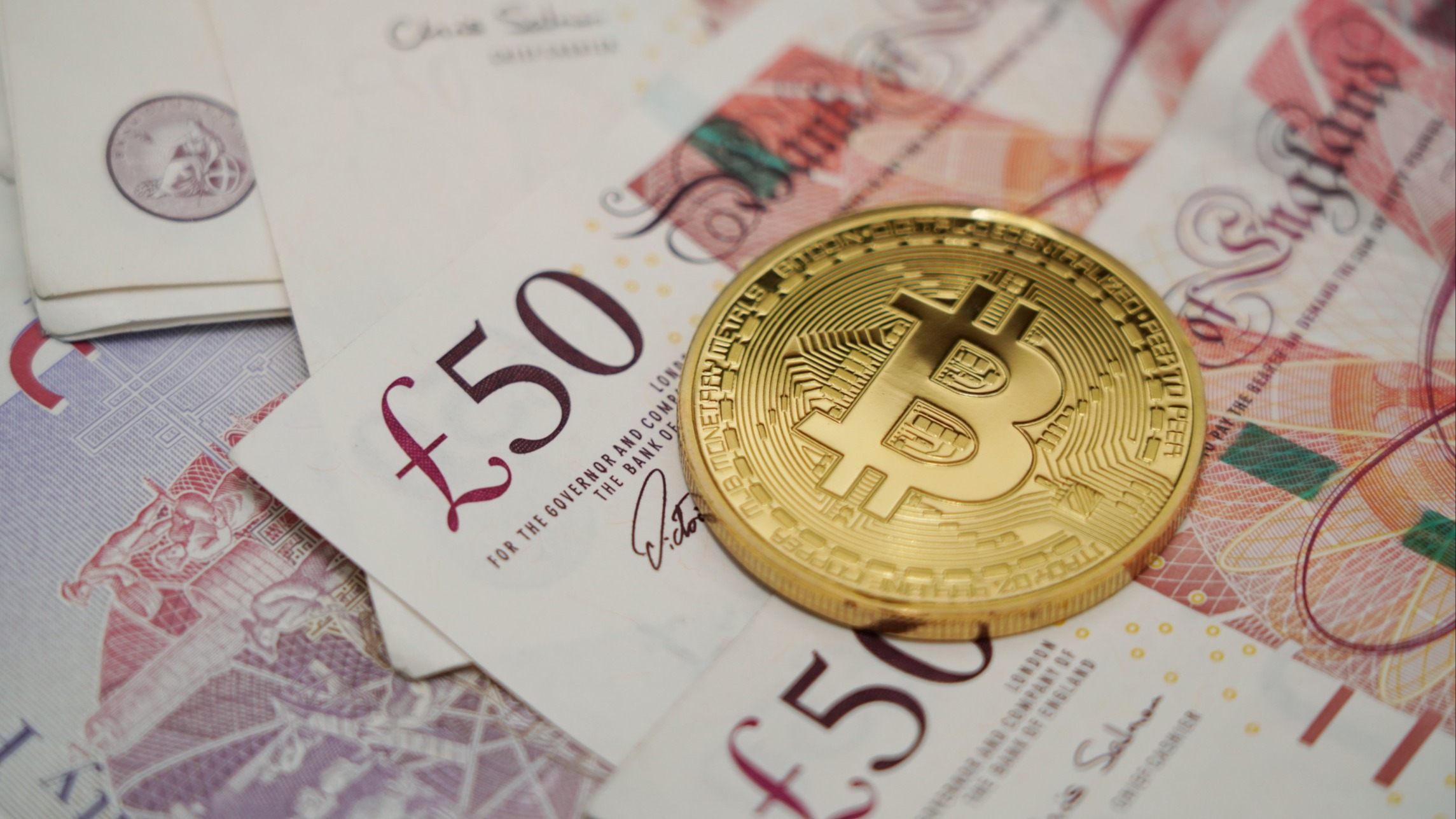 d1e00ek4ebabms.cloudfront.net image