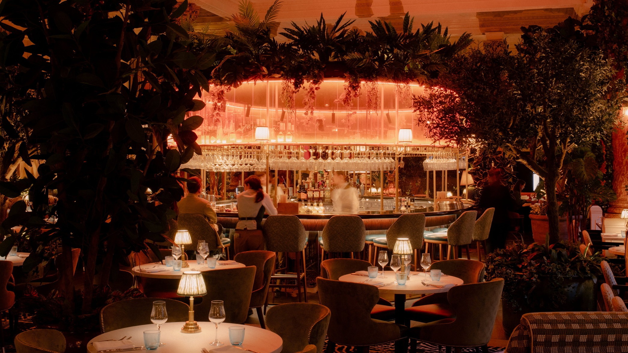 d1e00ek4ebabms.cloudfront.net image