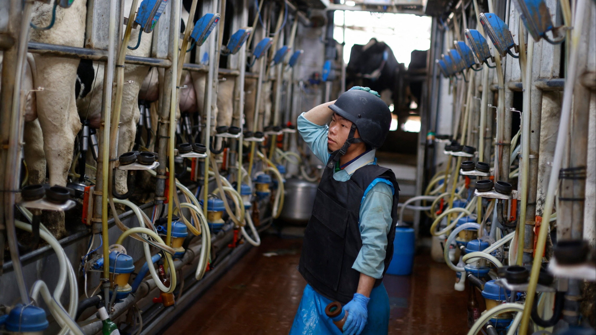 d1e00ek4ebabms.cloudfront.net image