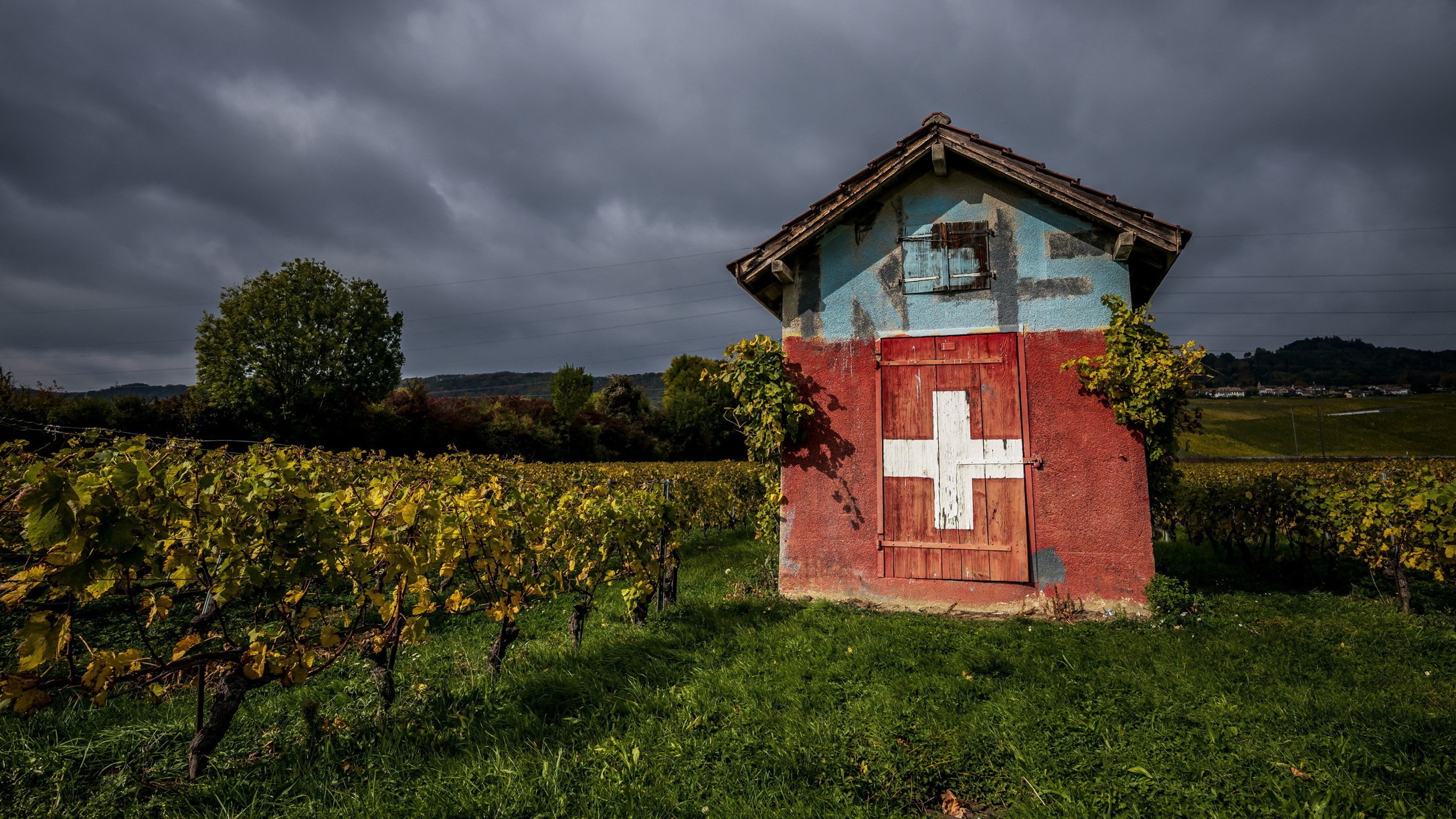 d1e00ek4ebabms.cloudfront.net image