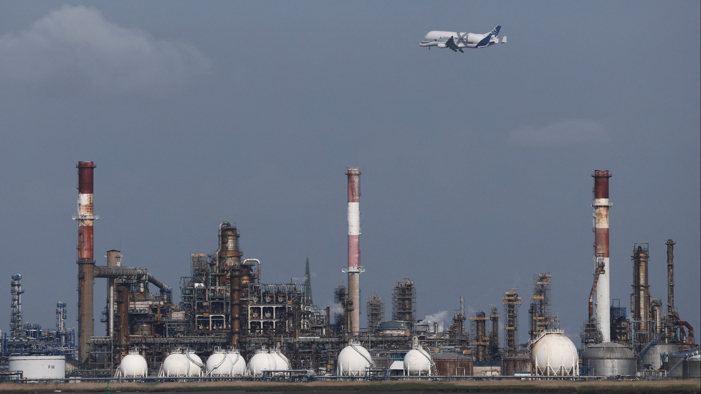 d1e00ek4ebabms.cloudfront.net image