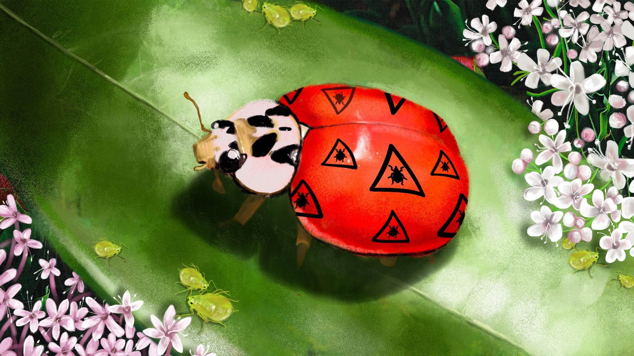 Unleash The Ladybirds Of War Controlling Garden Pests The Natural Way Financial Times