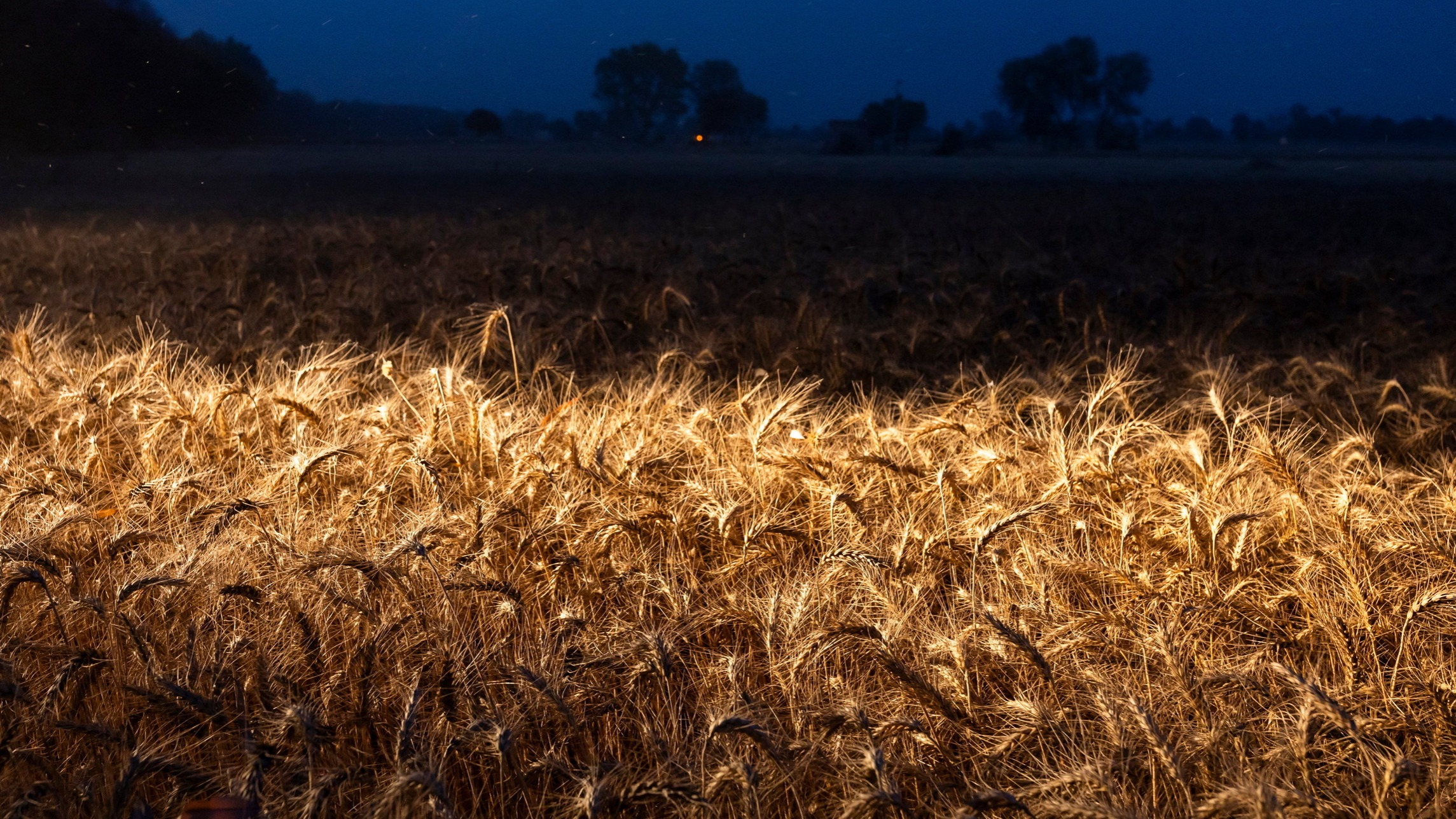 d1e00ek4ebabms.cloudfront.net image