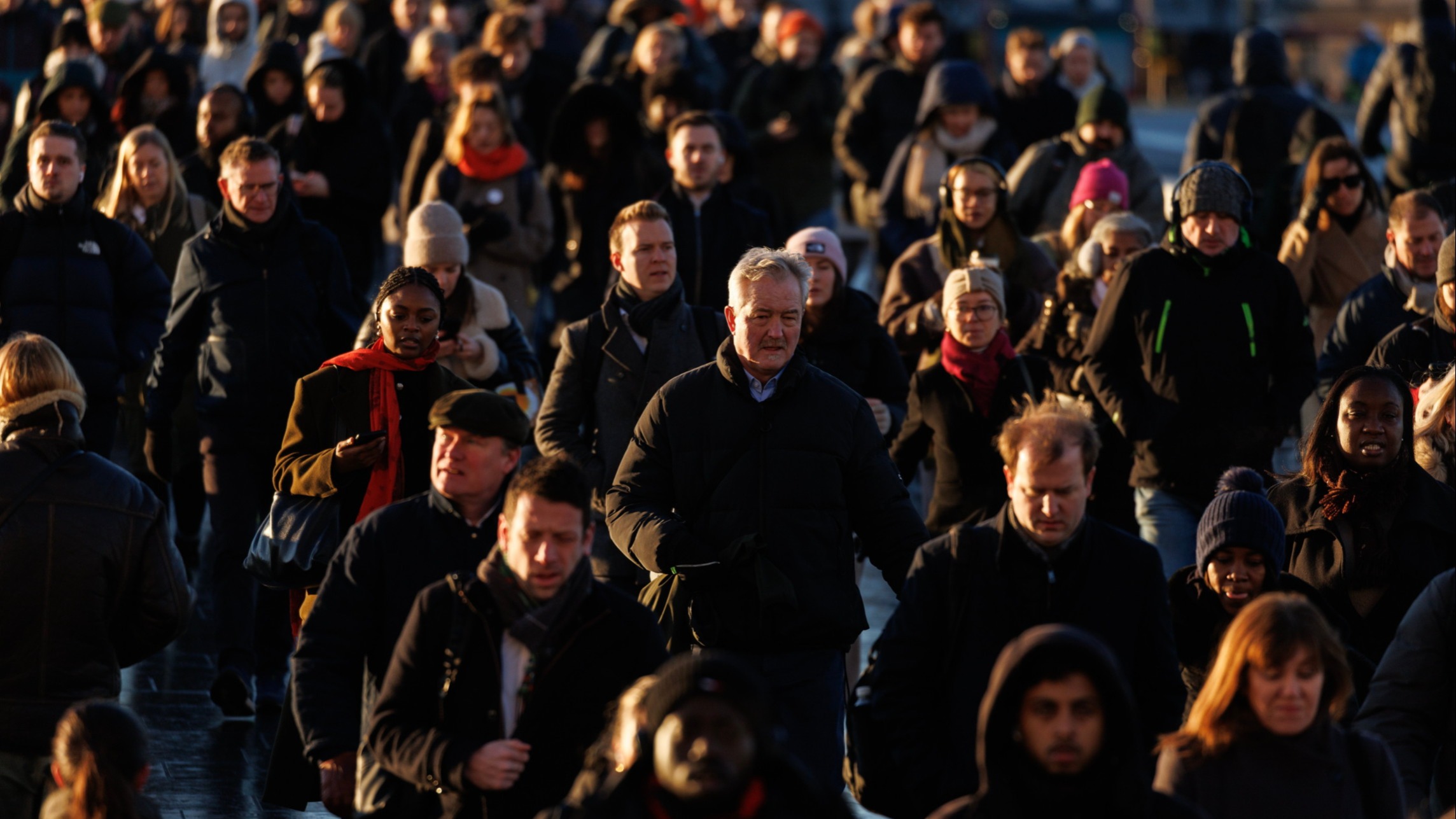 d1e00ek4ebabms.cloudfront.net image