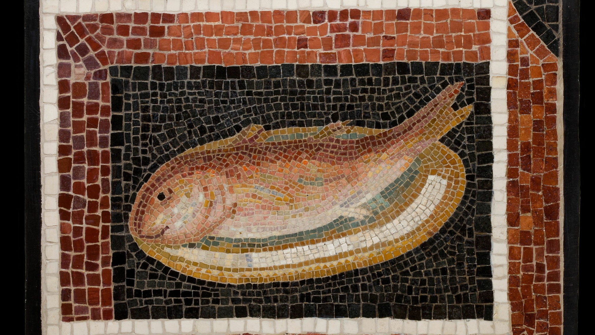 d1e00ek4ebabms.cloudfront.net image