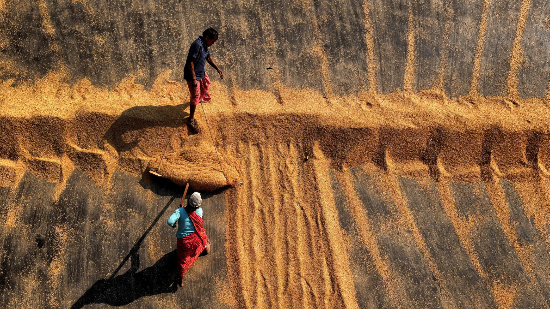 d1e00ek4ebabms.cloudfront.net image