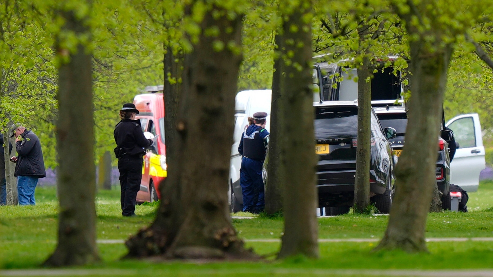 d1e00ek4ebabms.cloudfront.net image