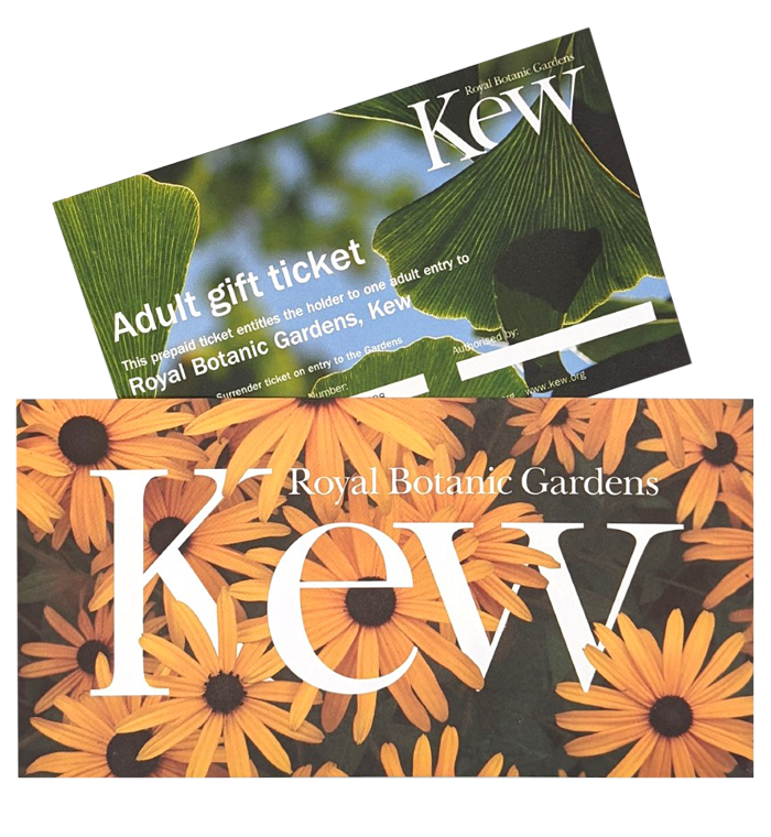 Sarah Raven’s guide to a festive home Financial Times