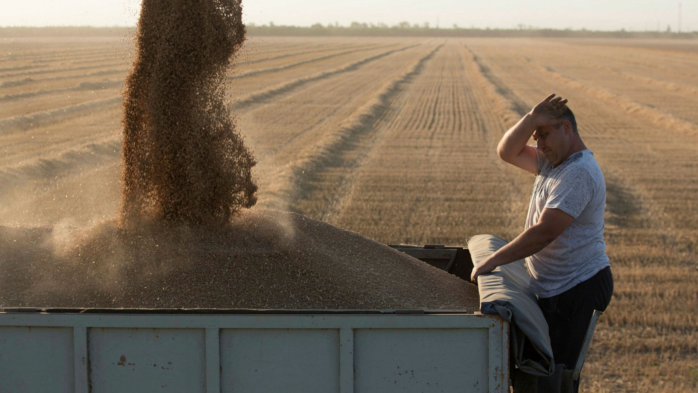 Wheat prices record highs as war halts exports from and Russia | Financial