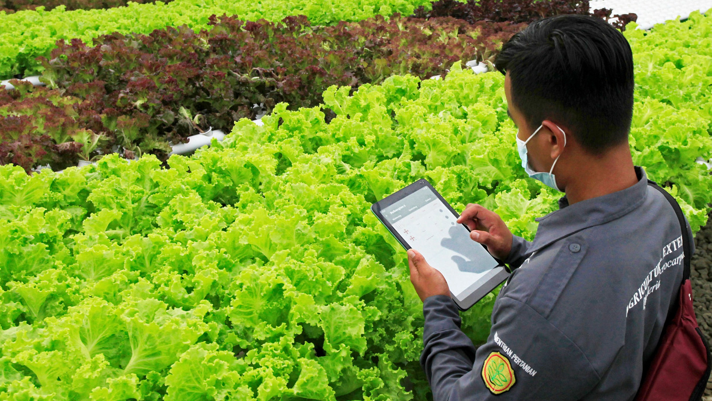 Sustainable Food And Agriculture Financial Times