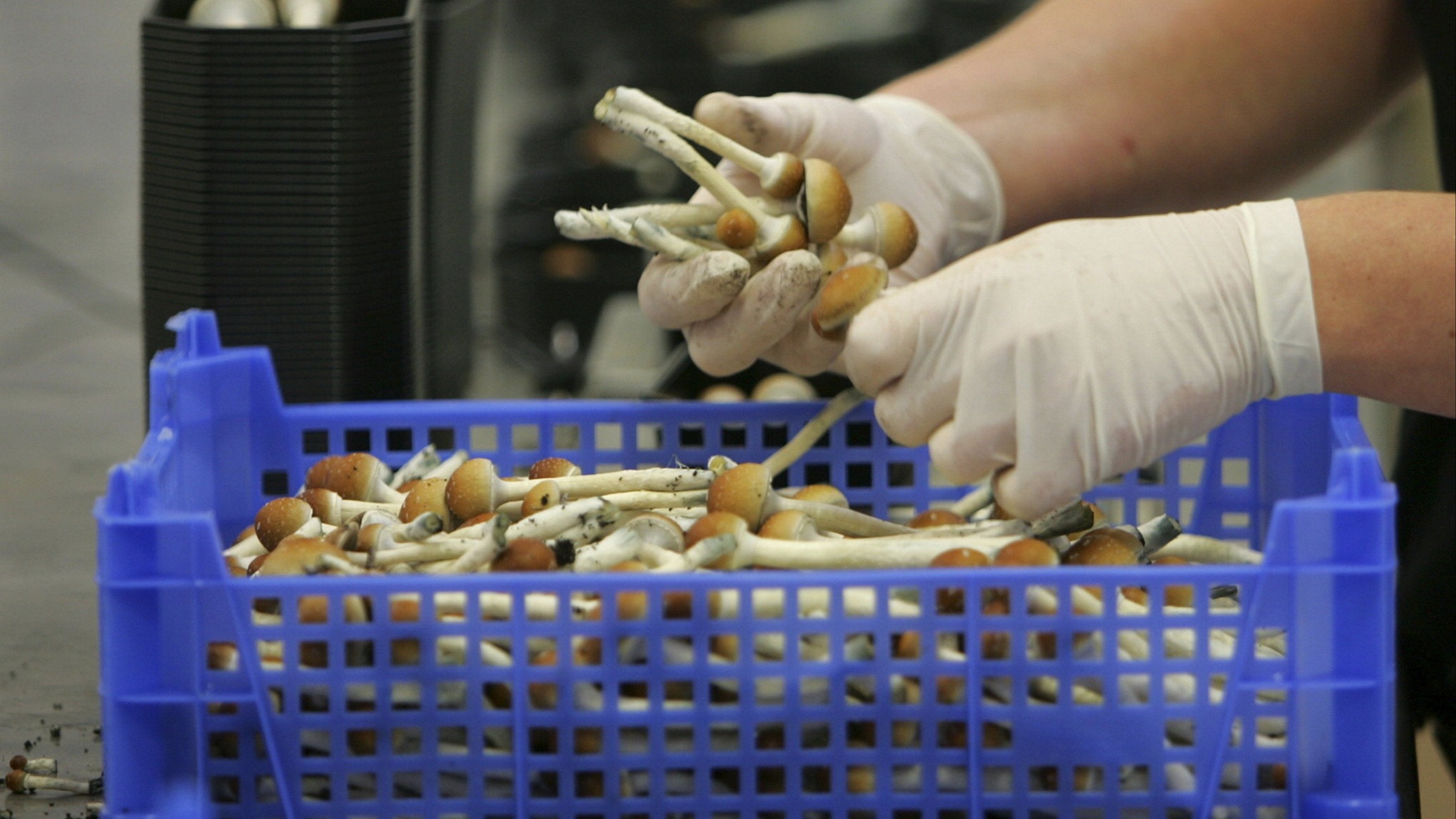 d1e00ek4ebabms.cloudfront.net image