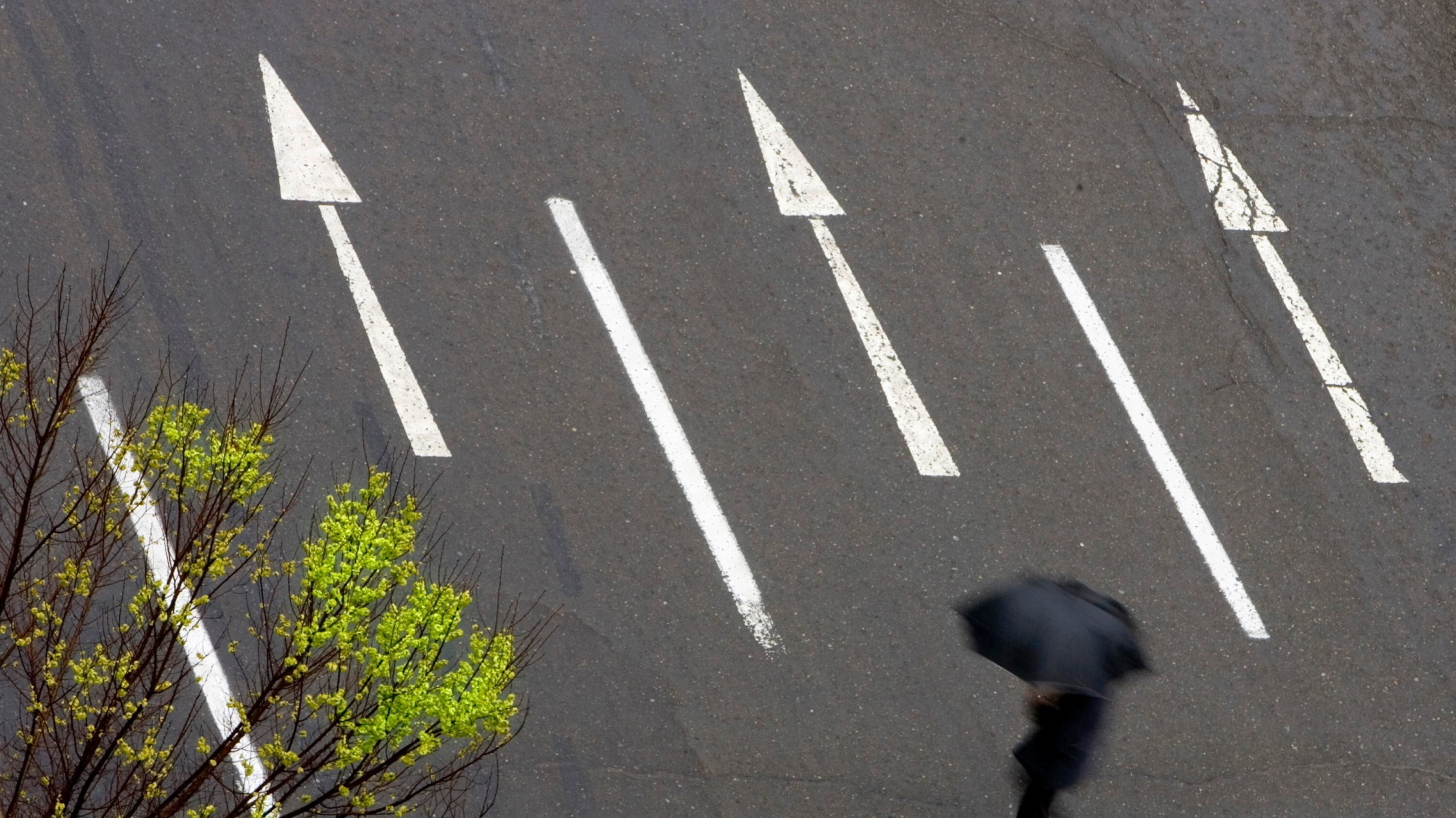 d1e00ek4ebabms.cloudfront.net image