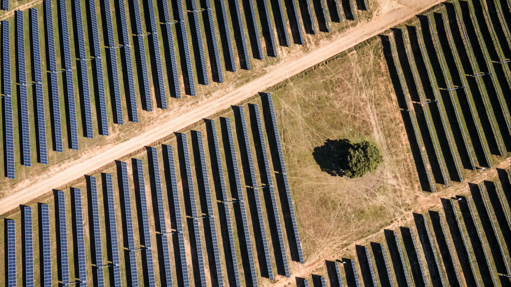 d1e00ek4ebabms.cloudfront.net image