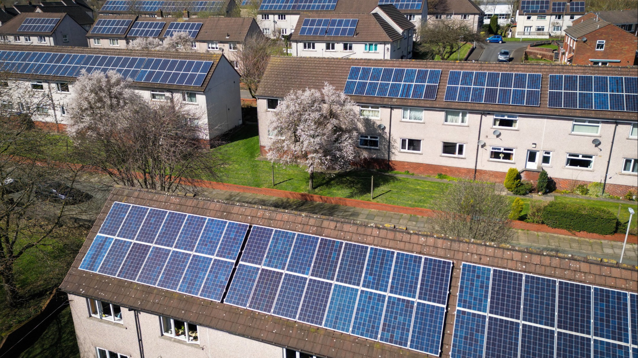 d1e00ek4ebabms.cloudfront.net image