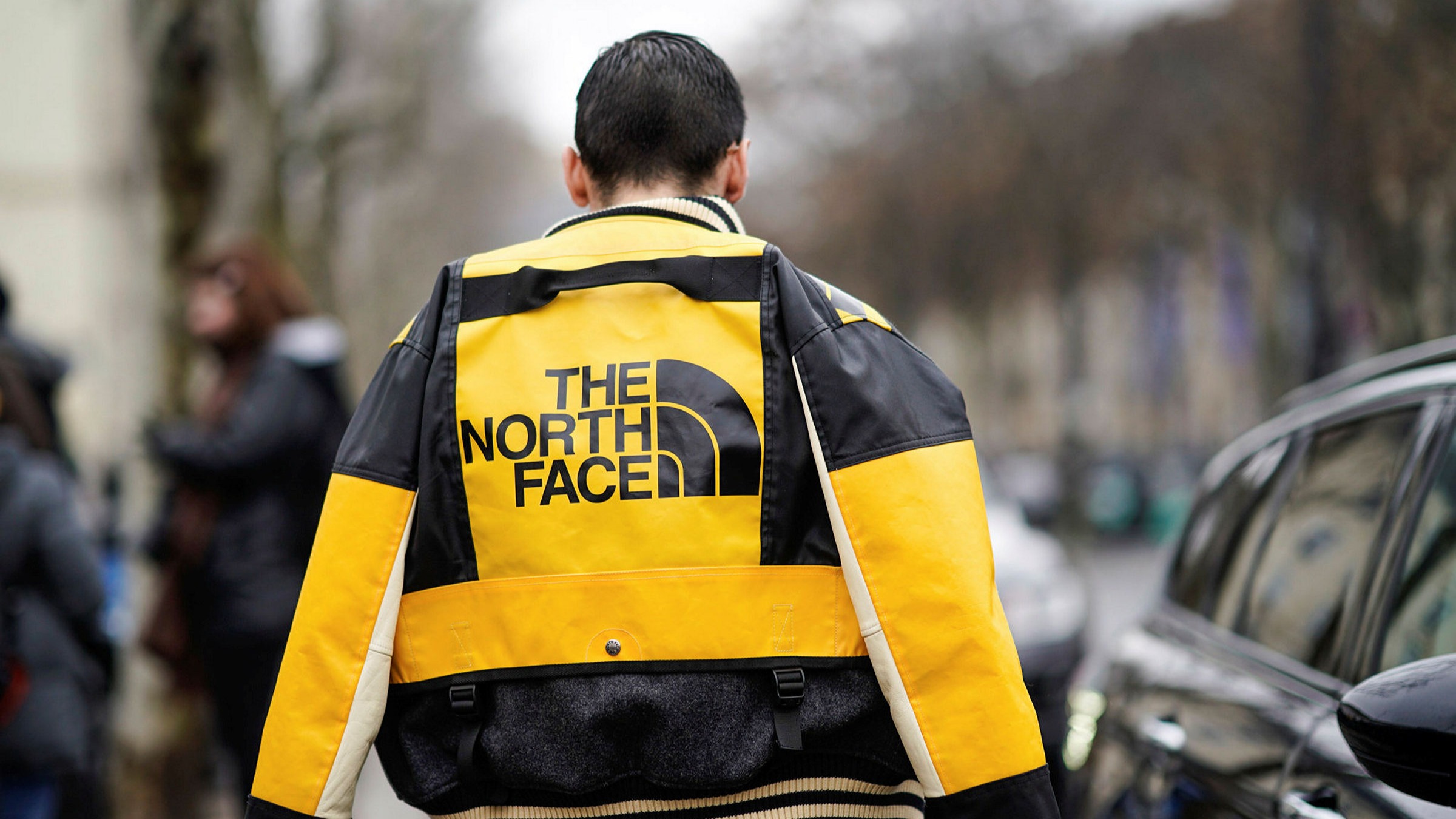 the north face clothing company