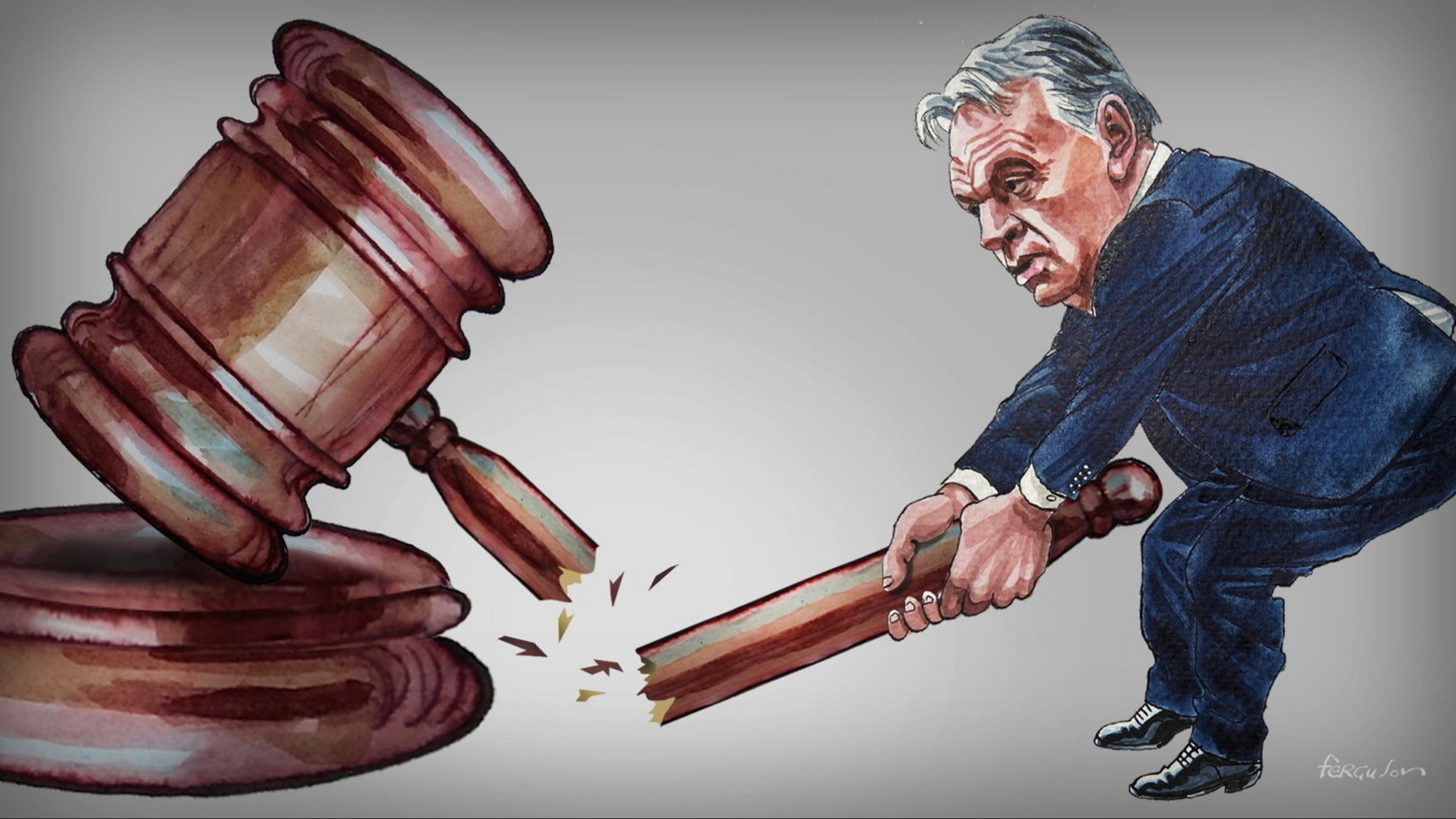 d1e00ek4ebabms.cloudfront.net image