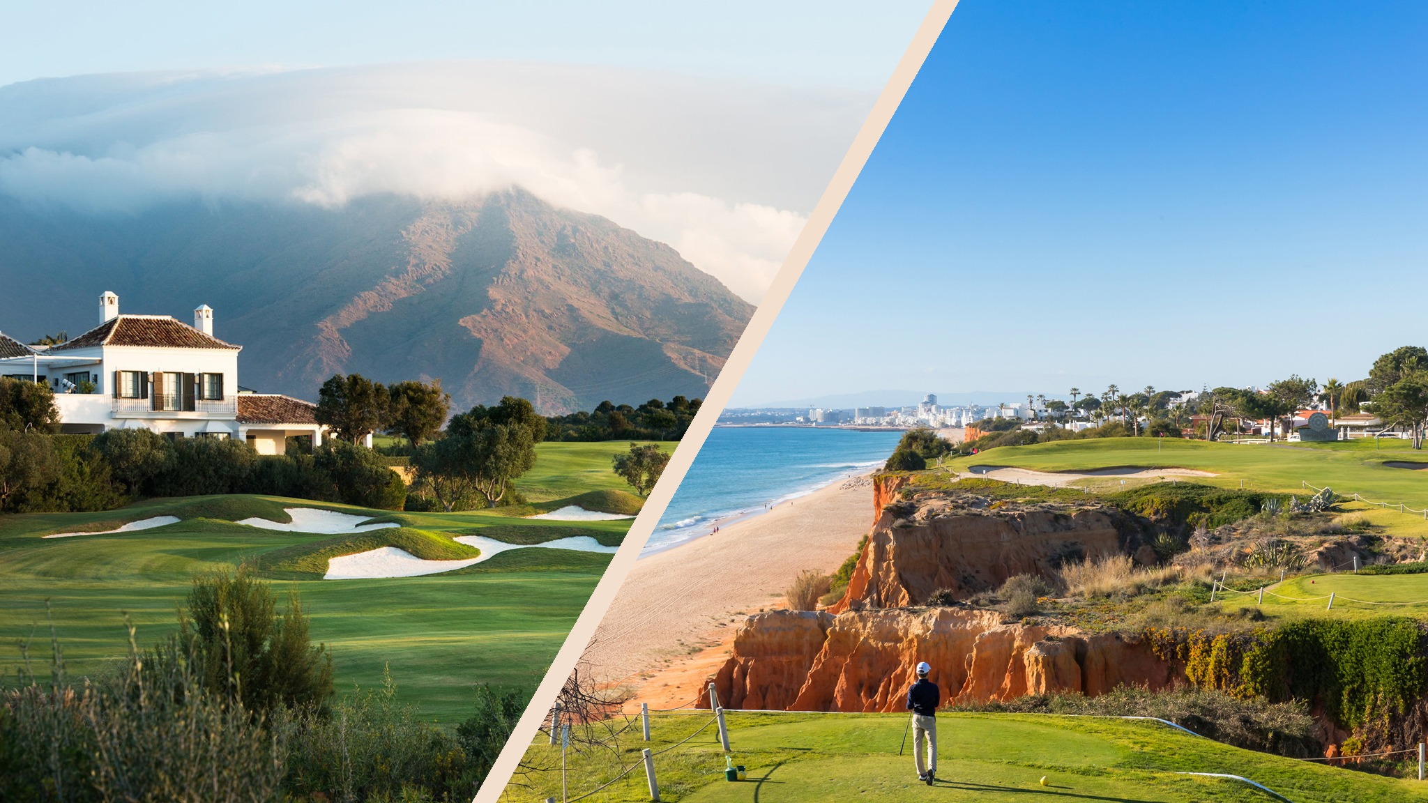 d1e00ek4ebabms.cloudfront.net image