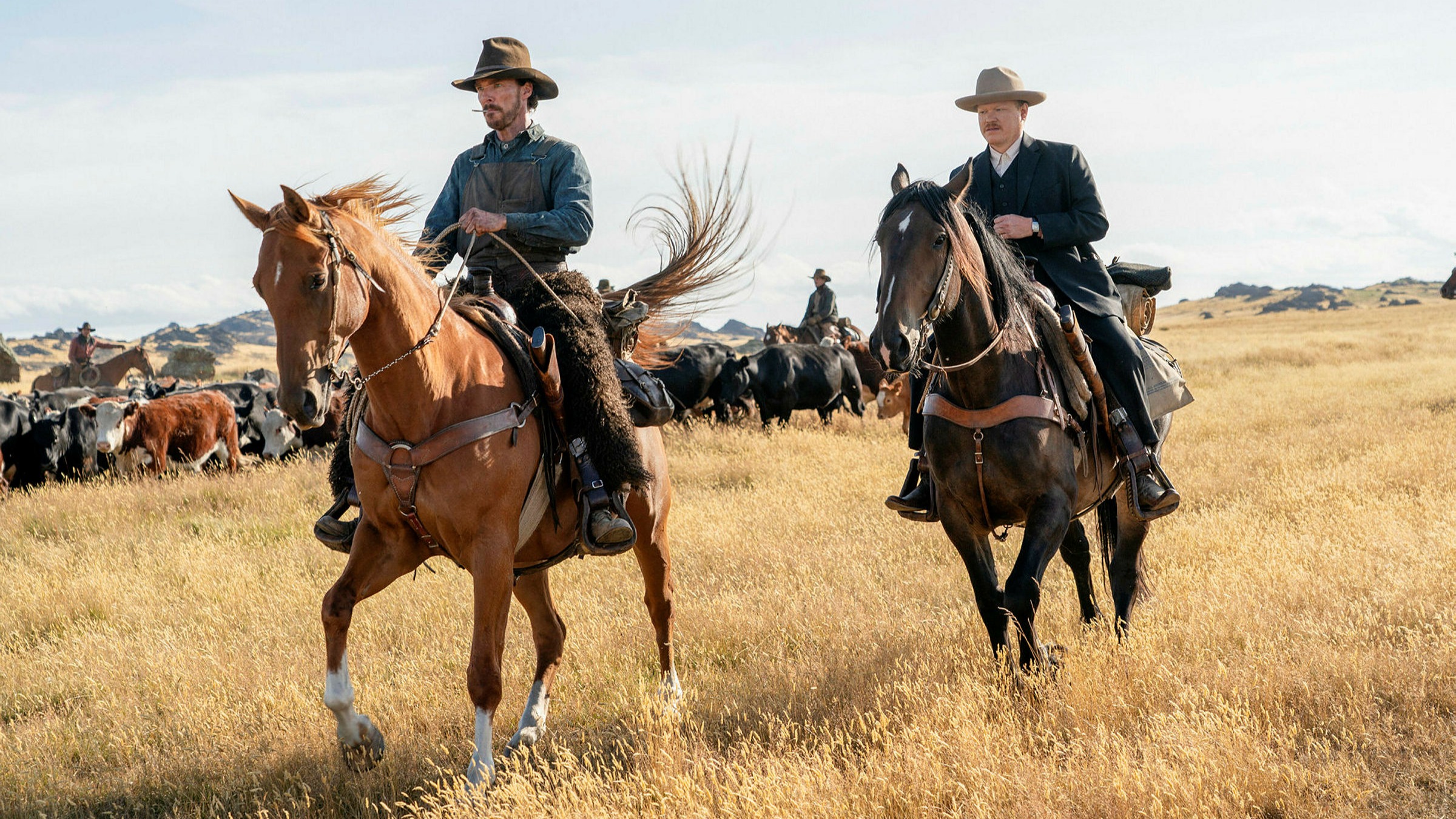 Guy saddles and feeds gal