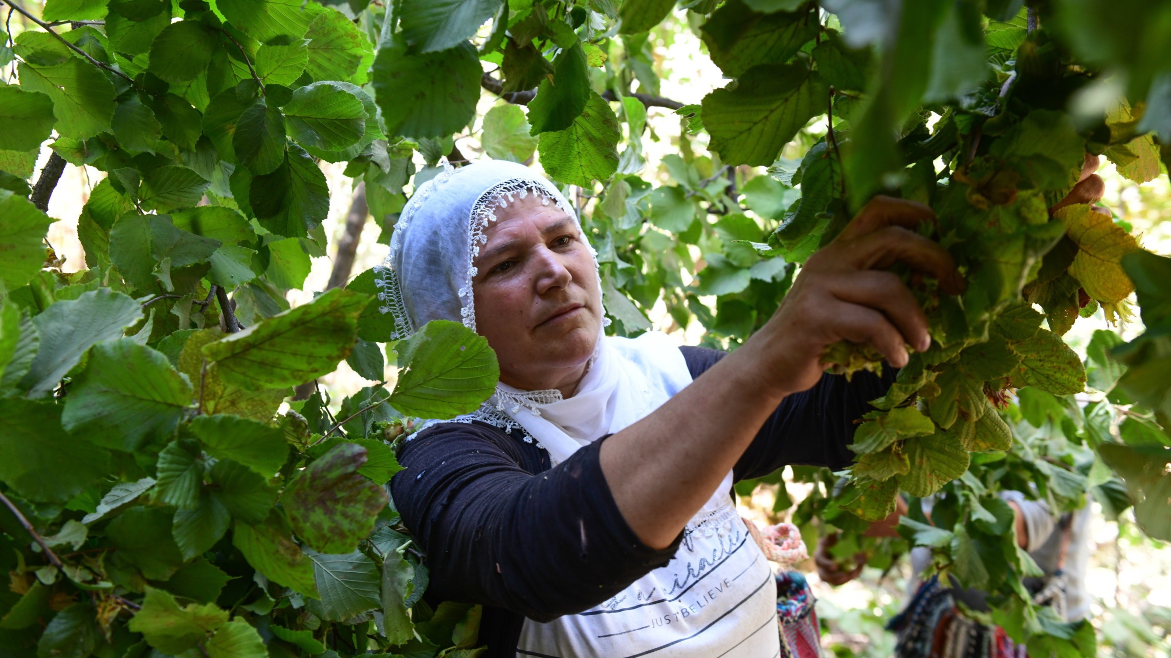 d1e00ek4ebabms.cloudfront.net image