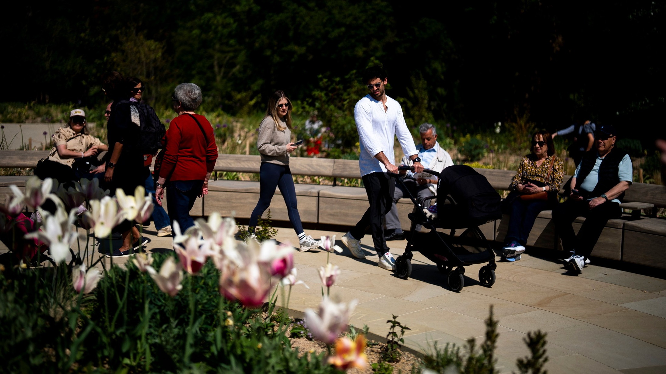 d1e00ek4ebabms.cloudfront.net image