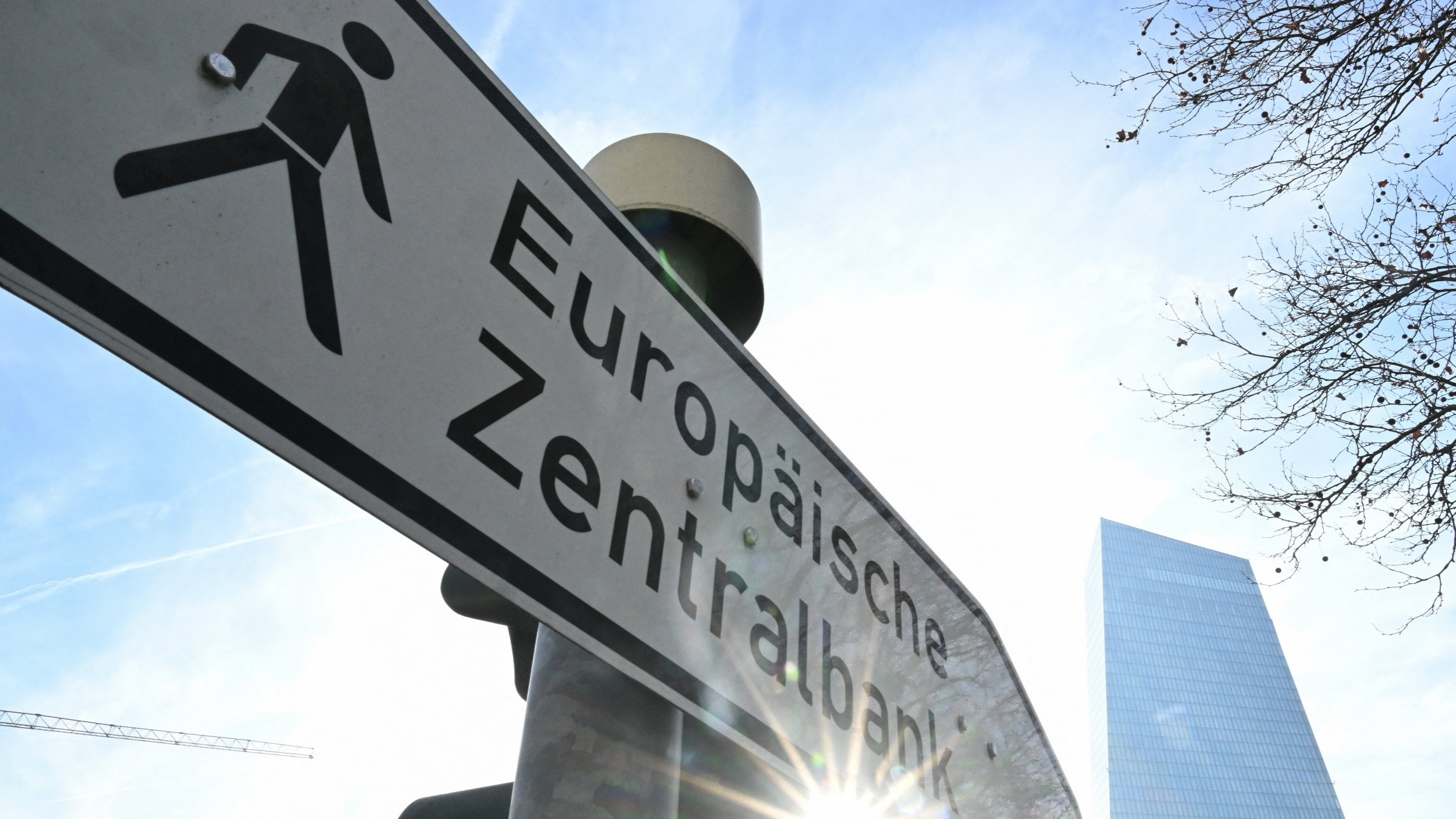 d1e00ek4ebabms.cloudfront.net image