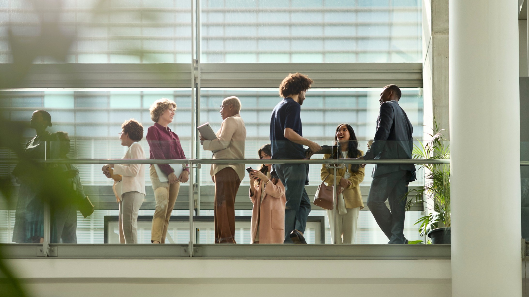 d1e00ek4ebabms.cloudfront.net image