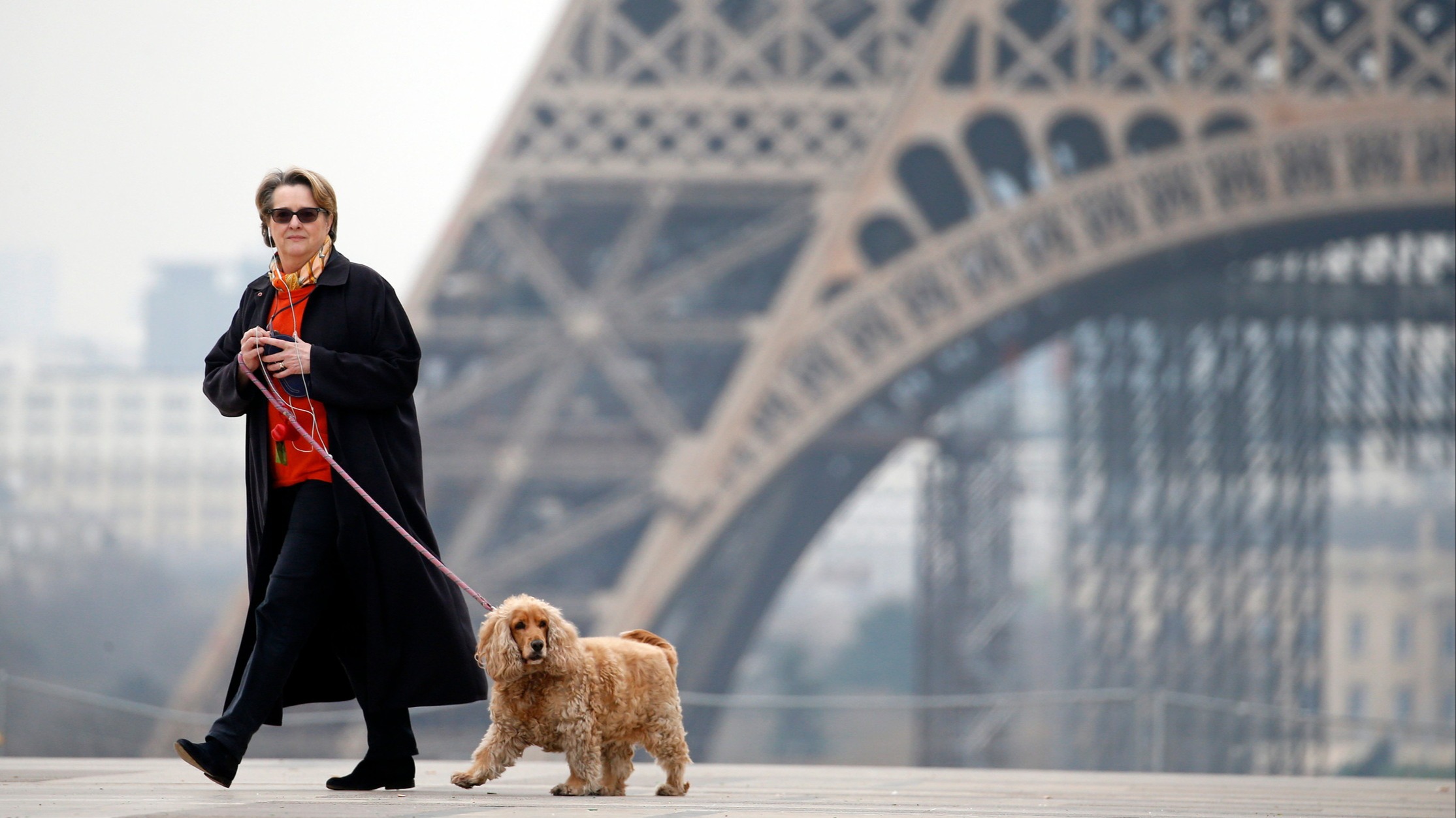 d1e00ek4ebabms.cloudfront.net image