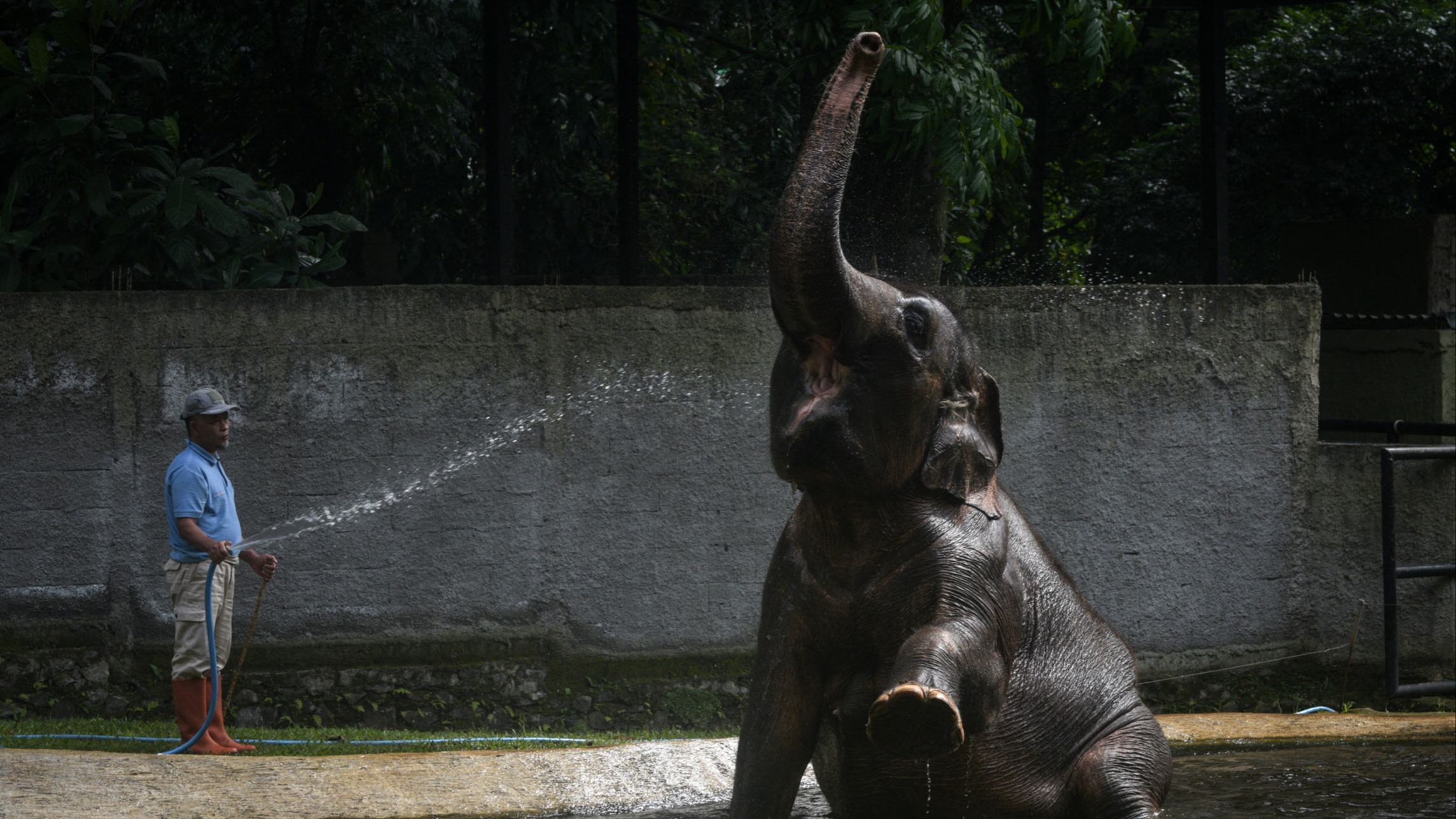 d1e00ek4ebabms.cloudfront.net image