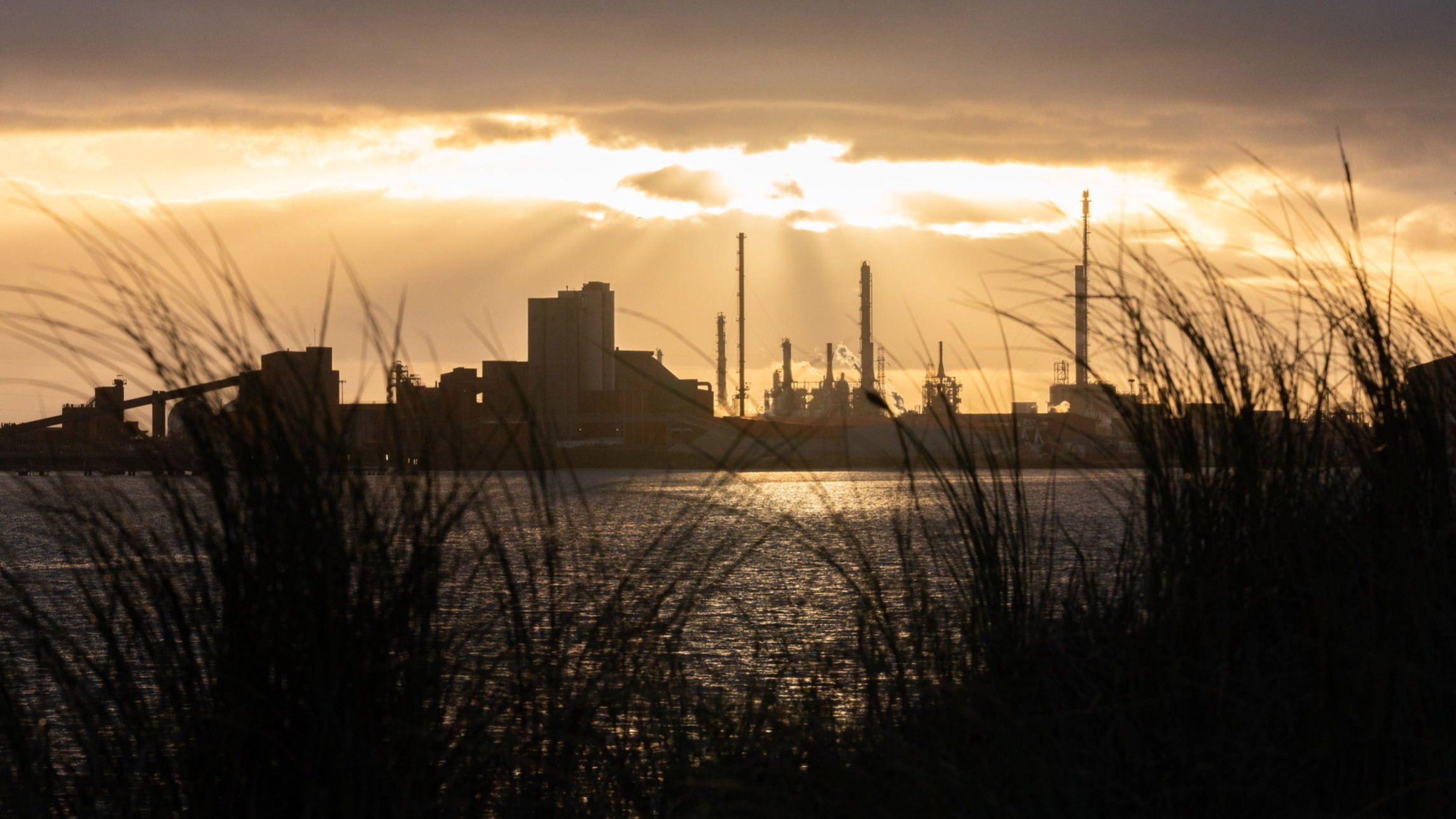 d1e00ek4ebabms.cloudfront.net image