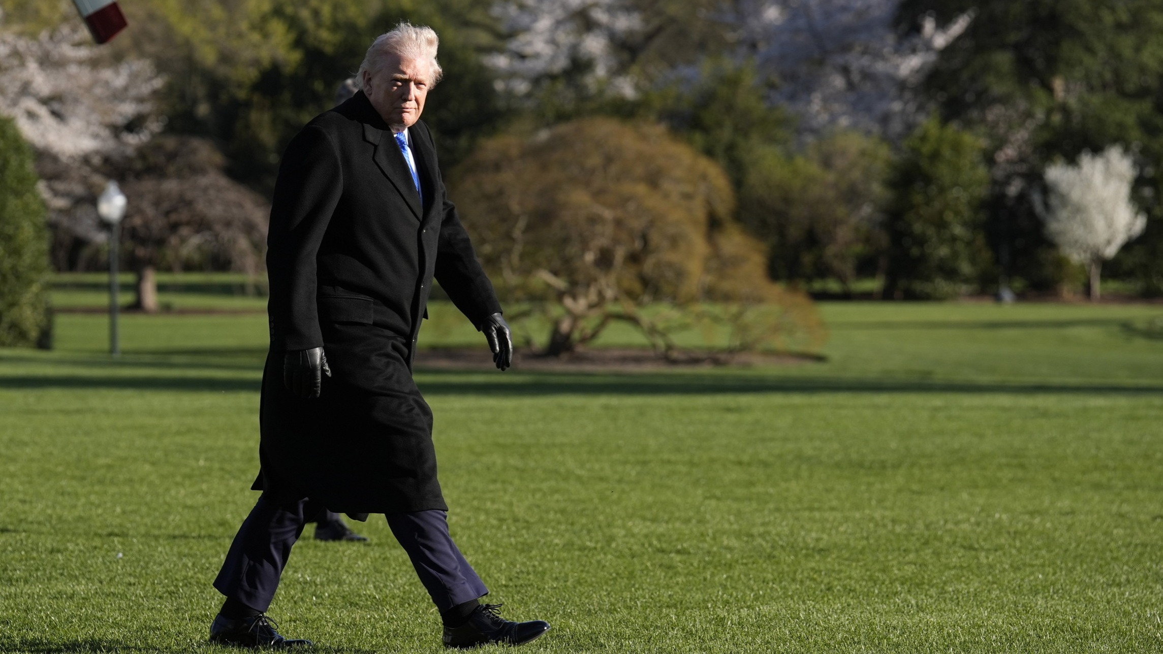 d1e00ek4ebabms.cloudfront.net image